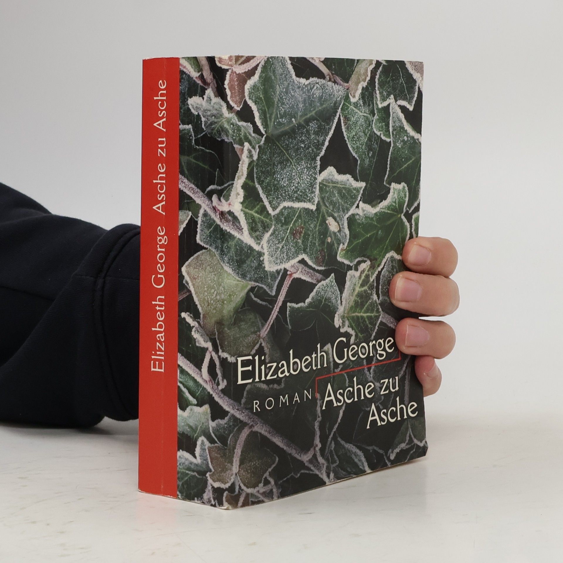 Elizabeth George Asche zu Asche