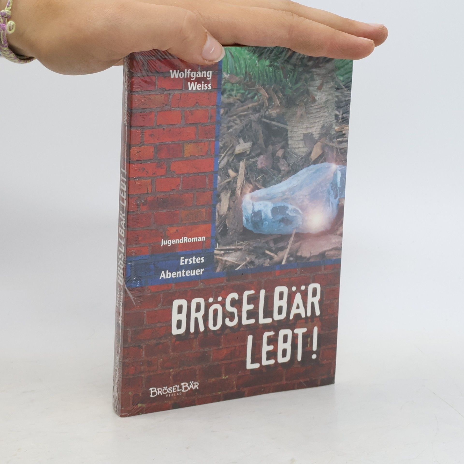 Bröselbär lebt!. Erstes Abenteuer