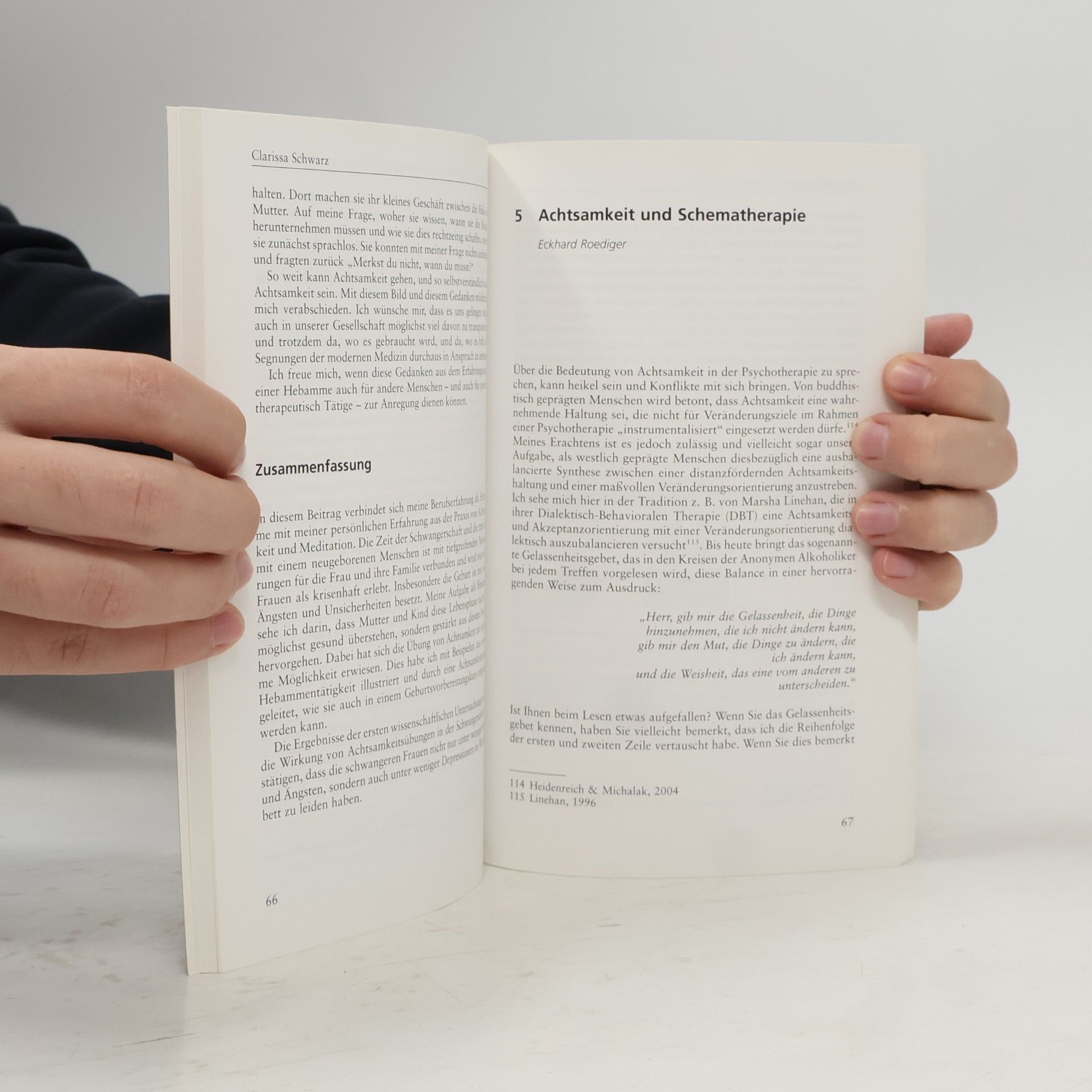 Luise Reddemann Kontexte von Achtsamkeit in der Psychotherapie