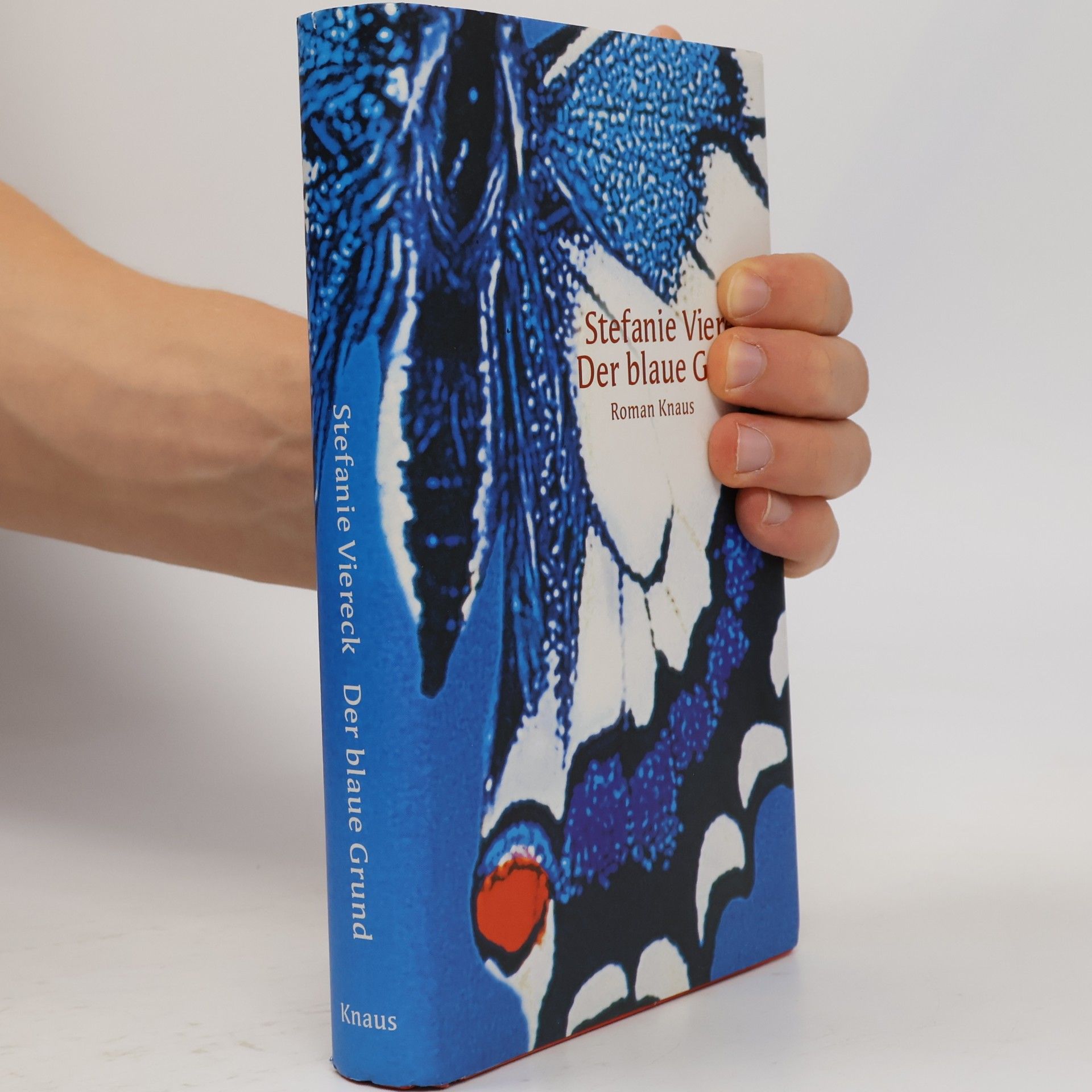 Stefanie Viereck Der blaue Grund