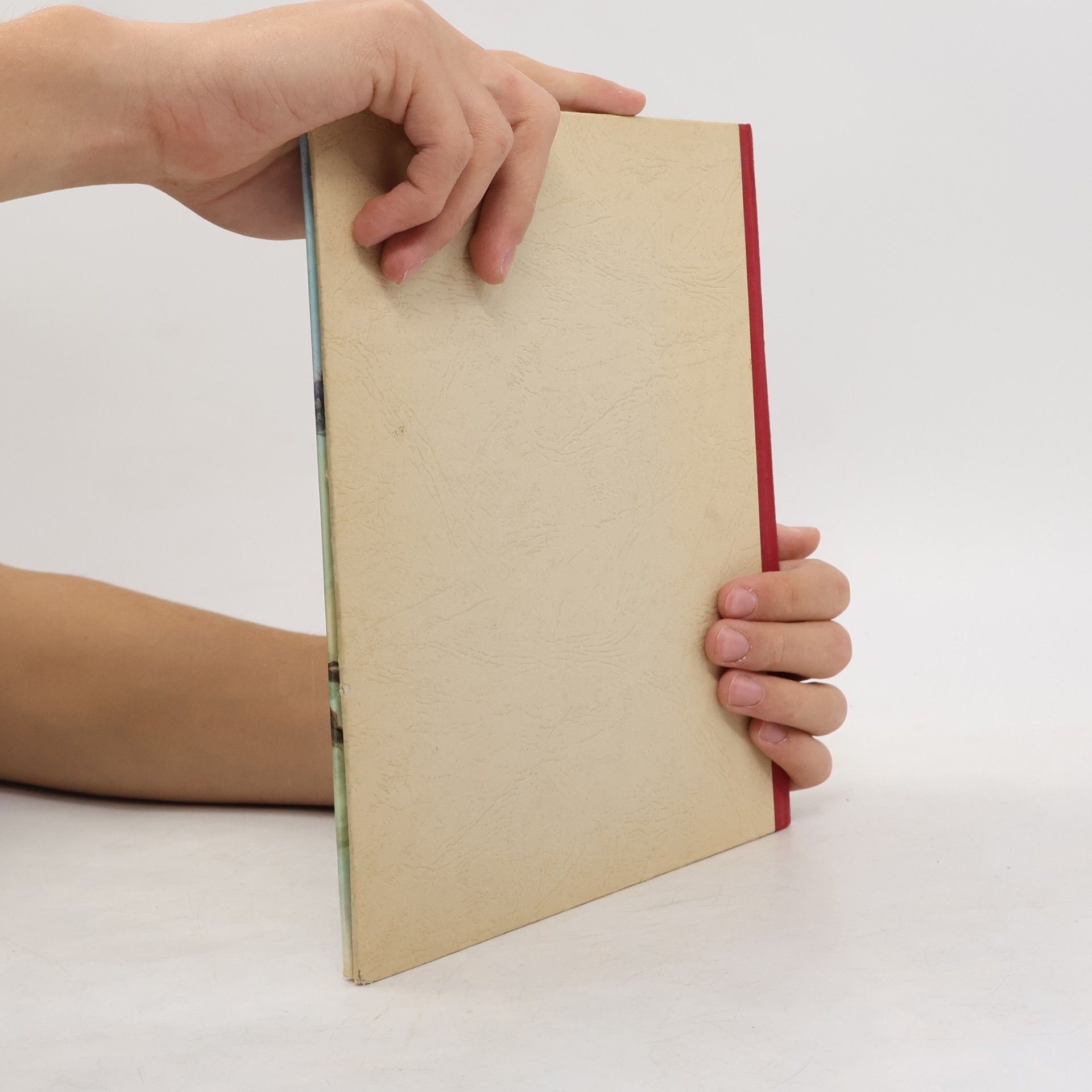 Various authors Die Zauberpantöffelchen