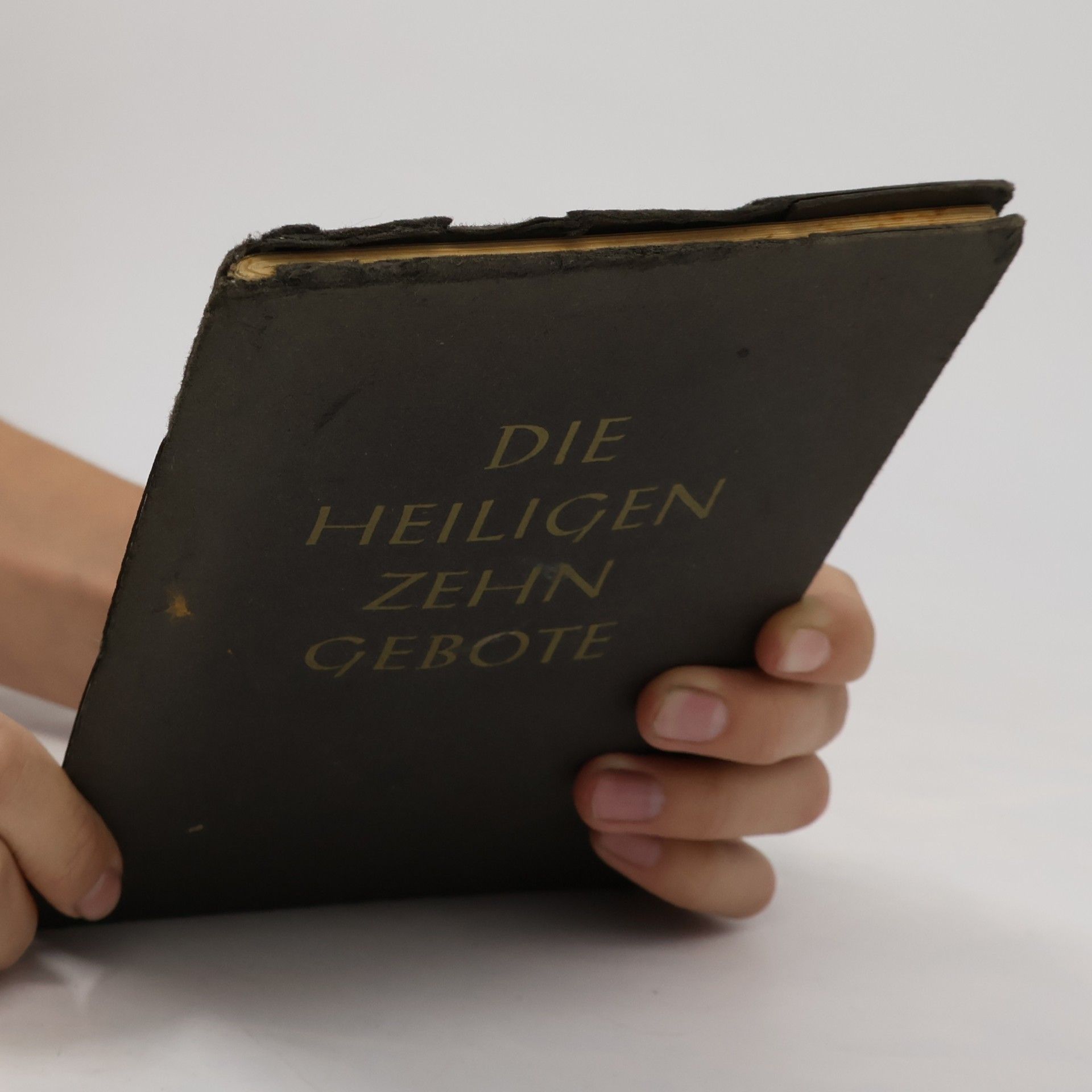 kolektiv Die heiligen zehn Gebote