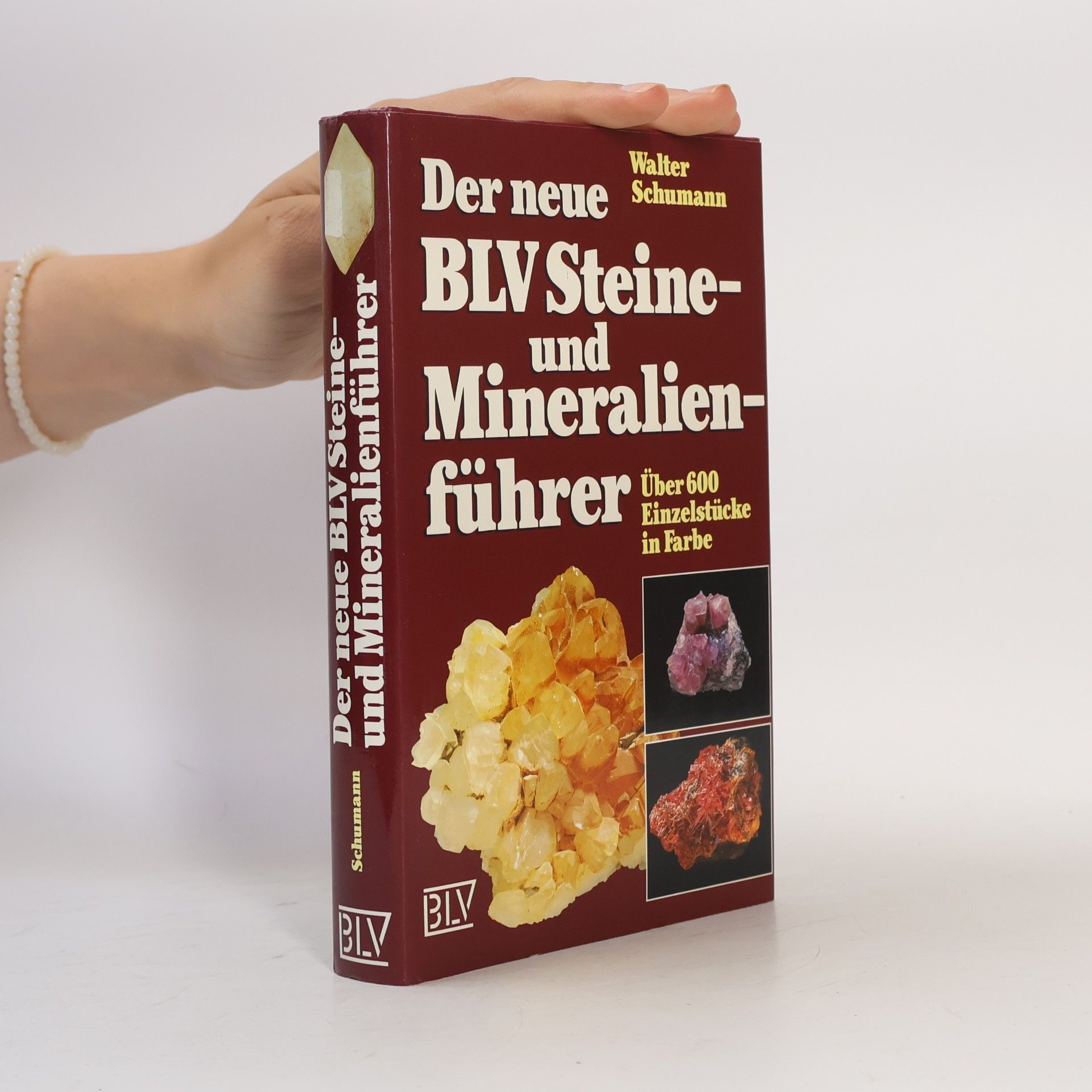 Der neue BLV-Steine- und Mineralienführer