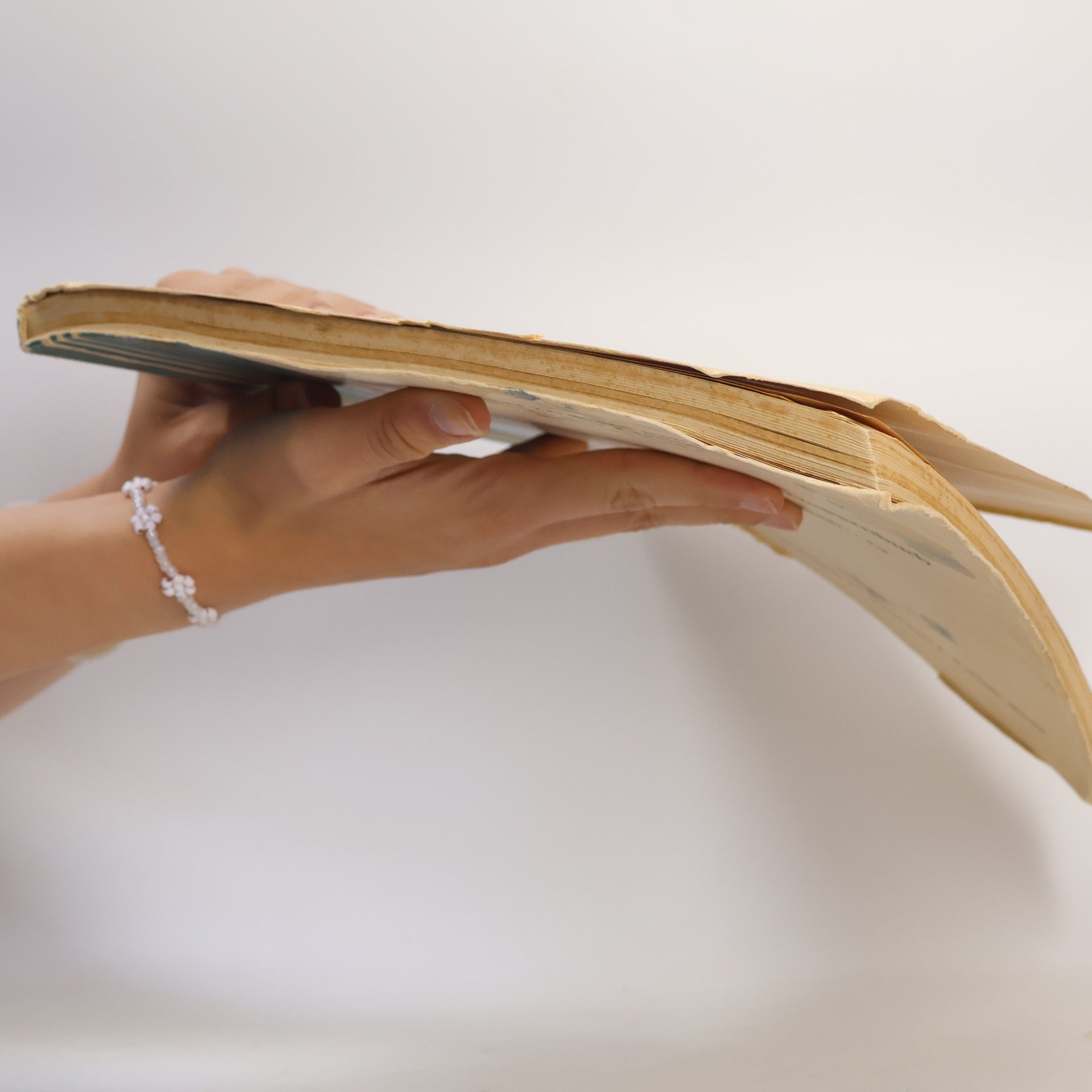 Autorenkollektiv Rhein=Mainisches Wappenbuch