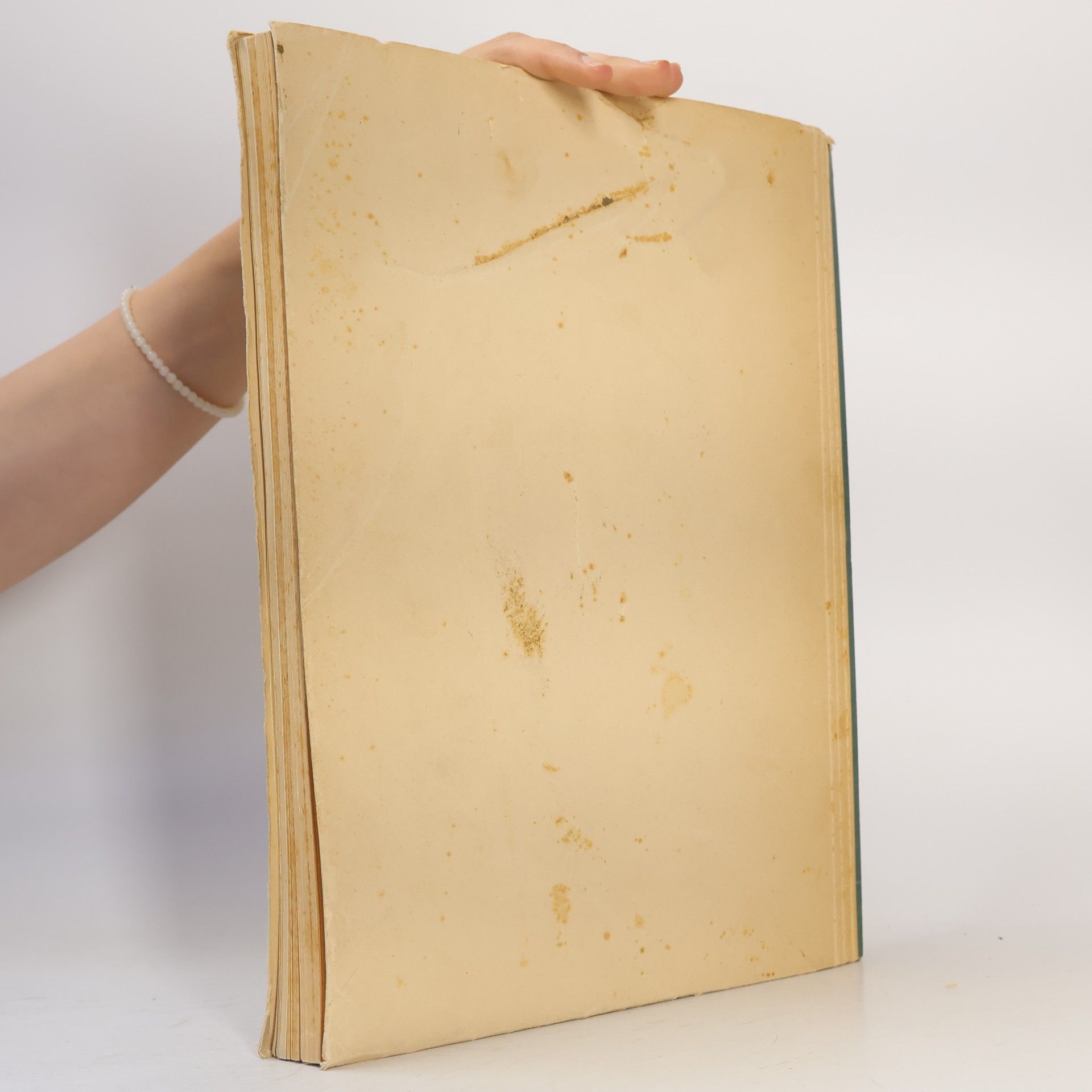 Autorenkollektiv Rhein=Mainisches Wappenbuch