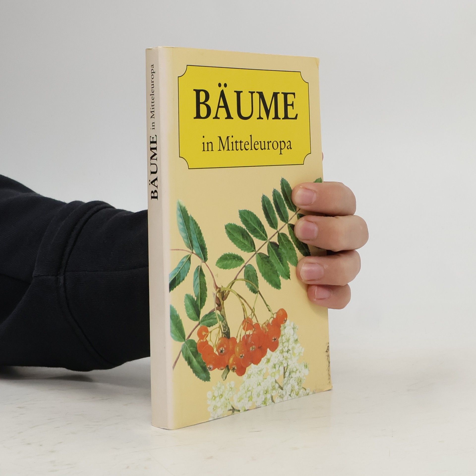 Jaromír Pokorný Bäume in Mitteleuropa
