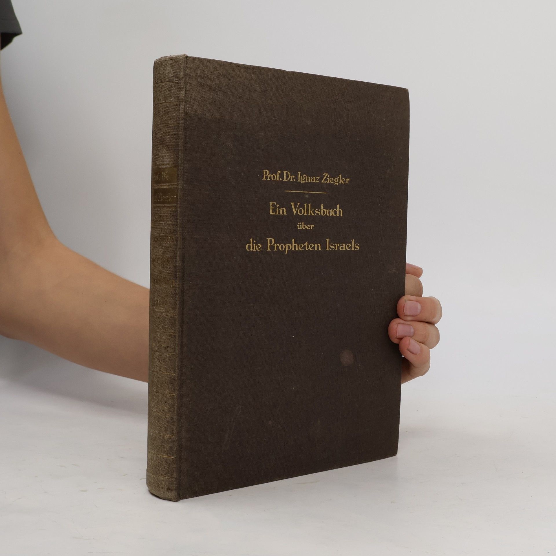 Ignaz Ziegler Ein Volksbuch über die Propheten Israels