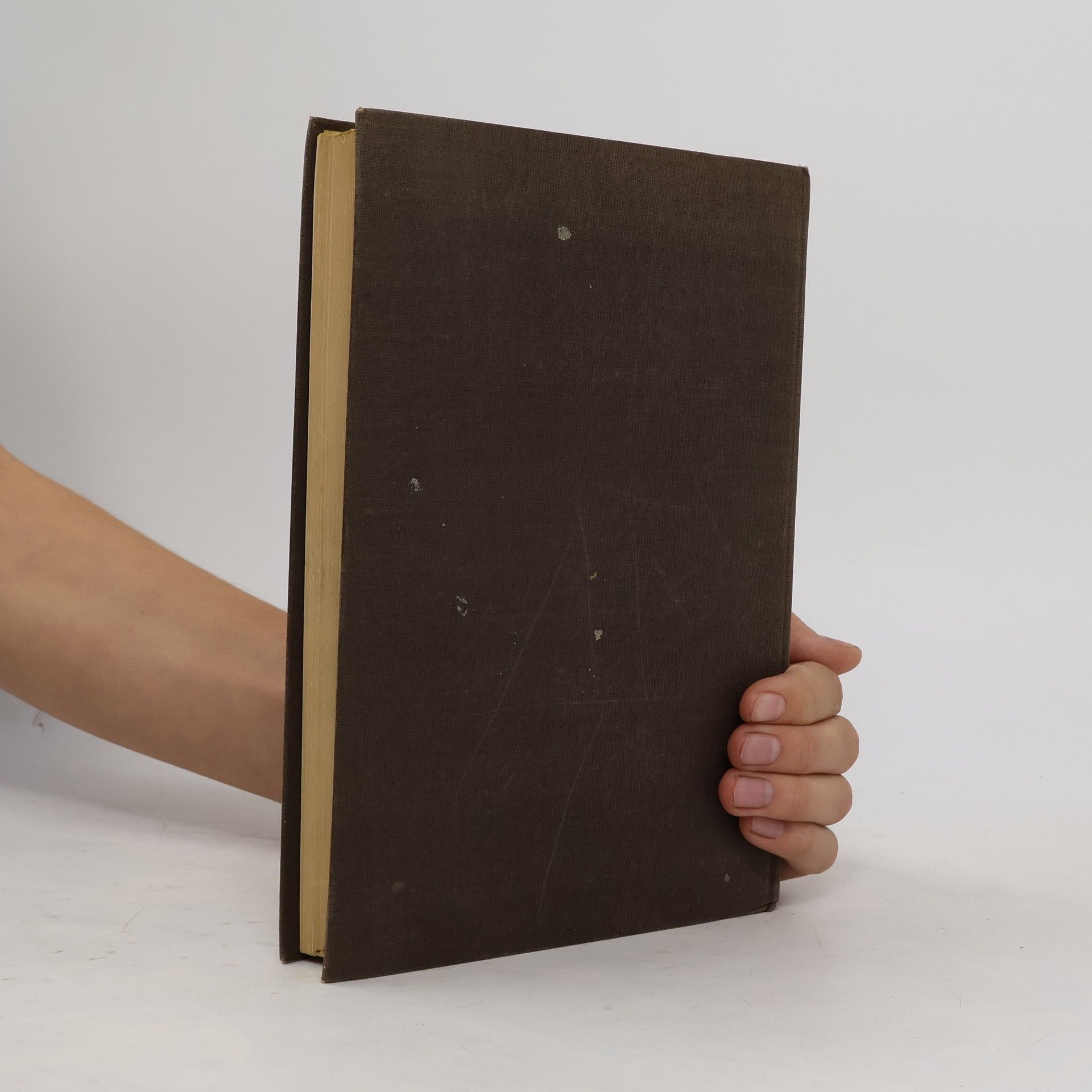 Ignaz Ziegler Ein Volksbuch über die Propheten Israels