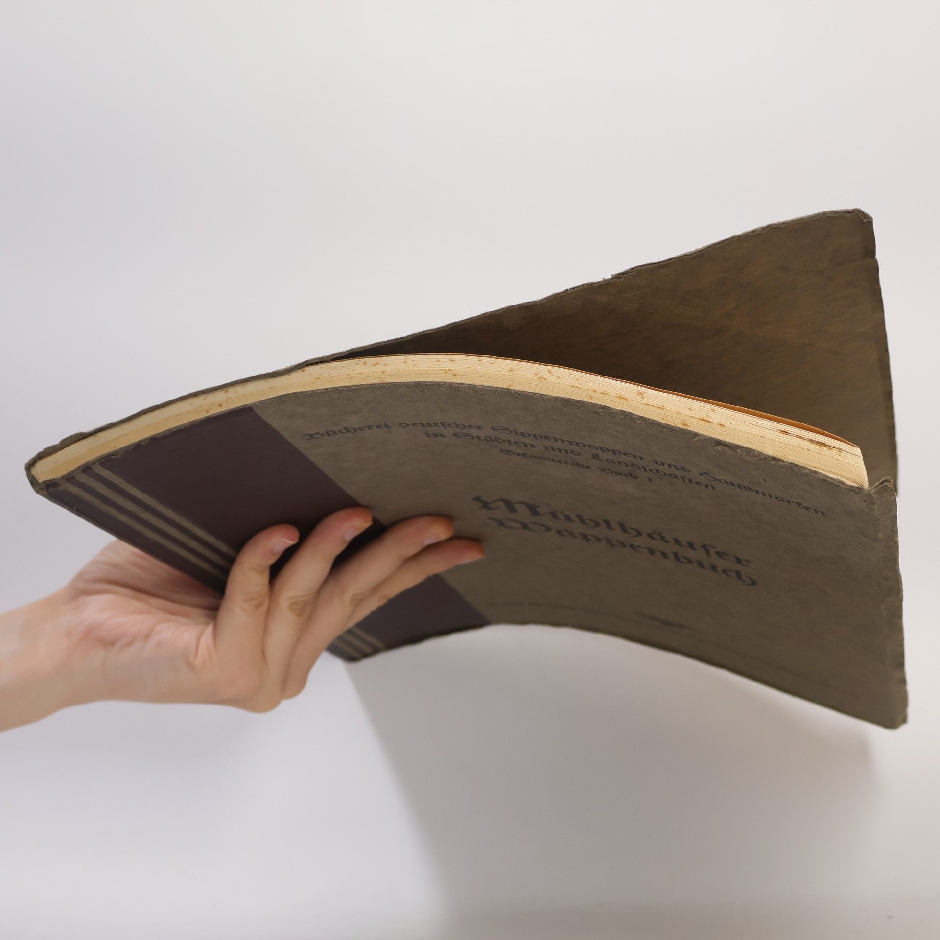 Various authors Mühlhäuser Wappenbuch