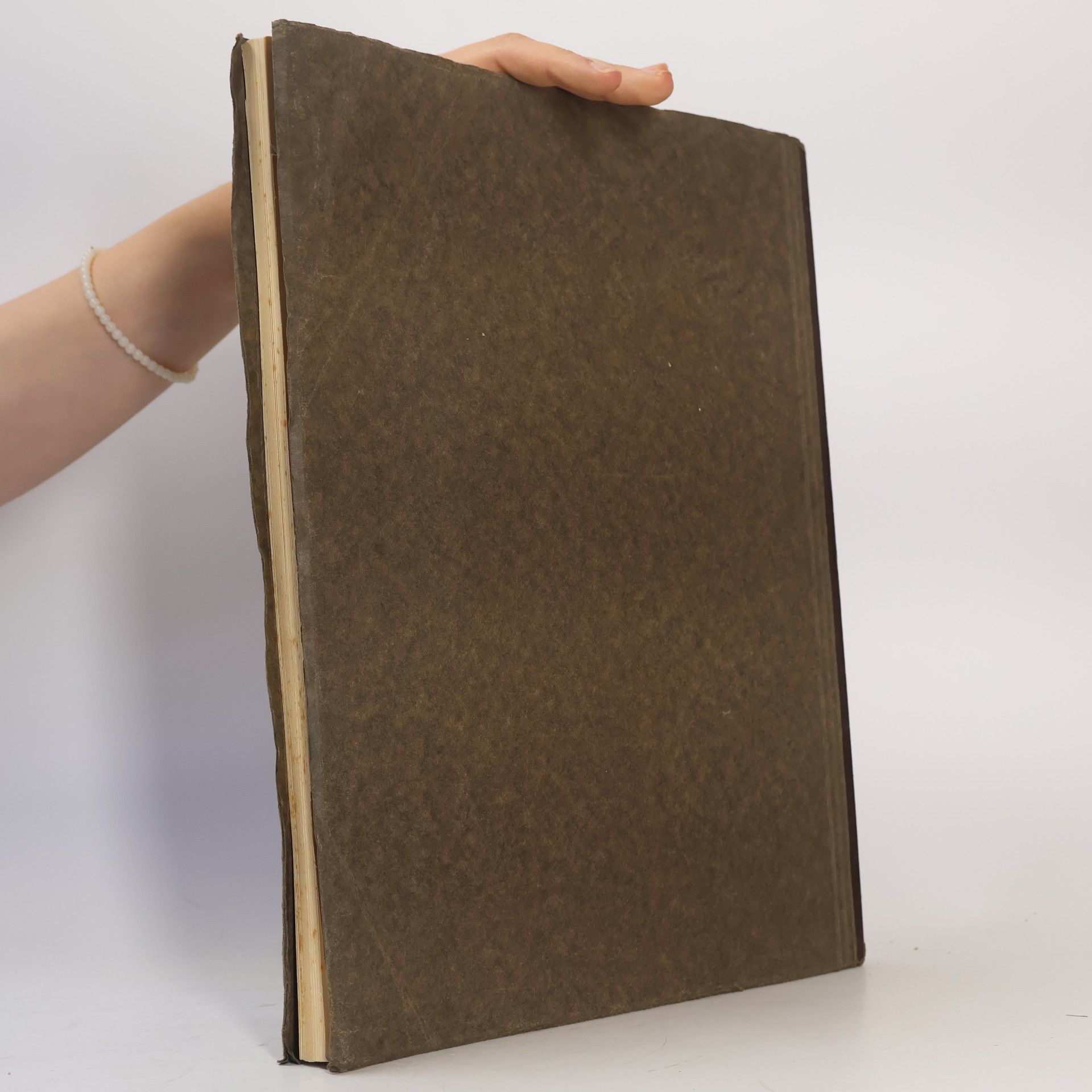 Various authors Mühlhäuser Wappenbuch