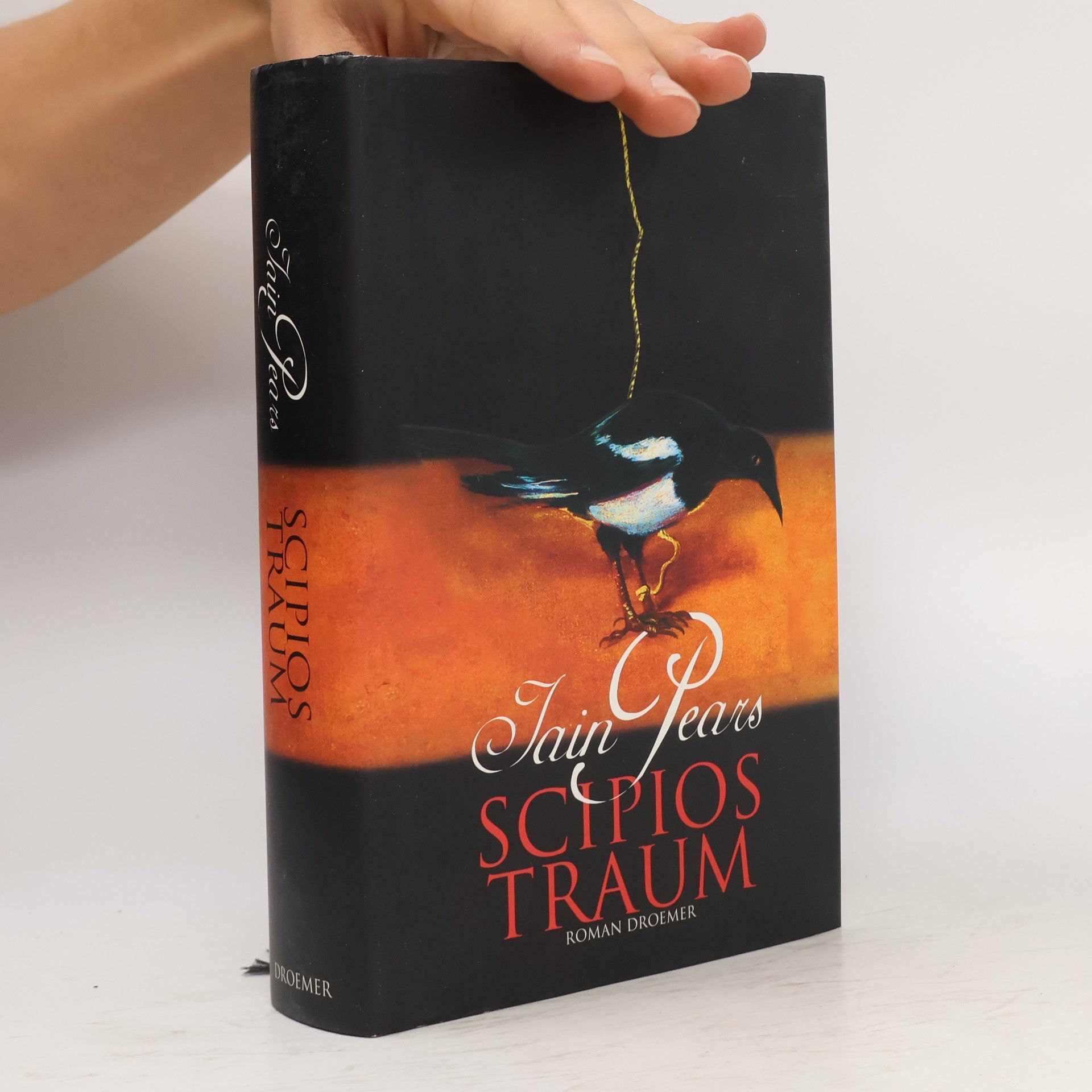 Iain Pears Scipios Traum