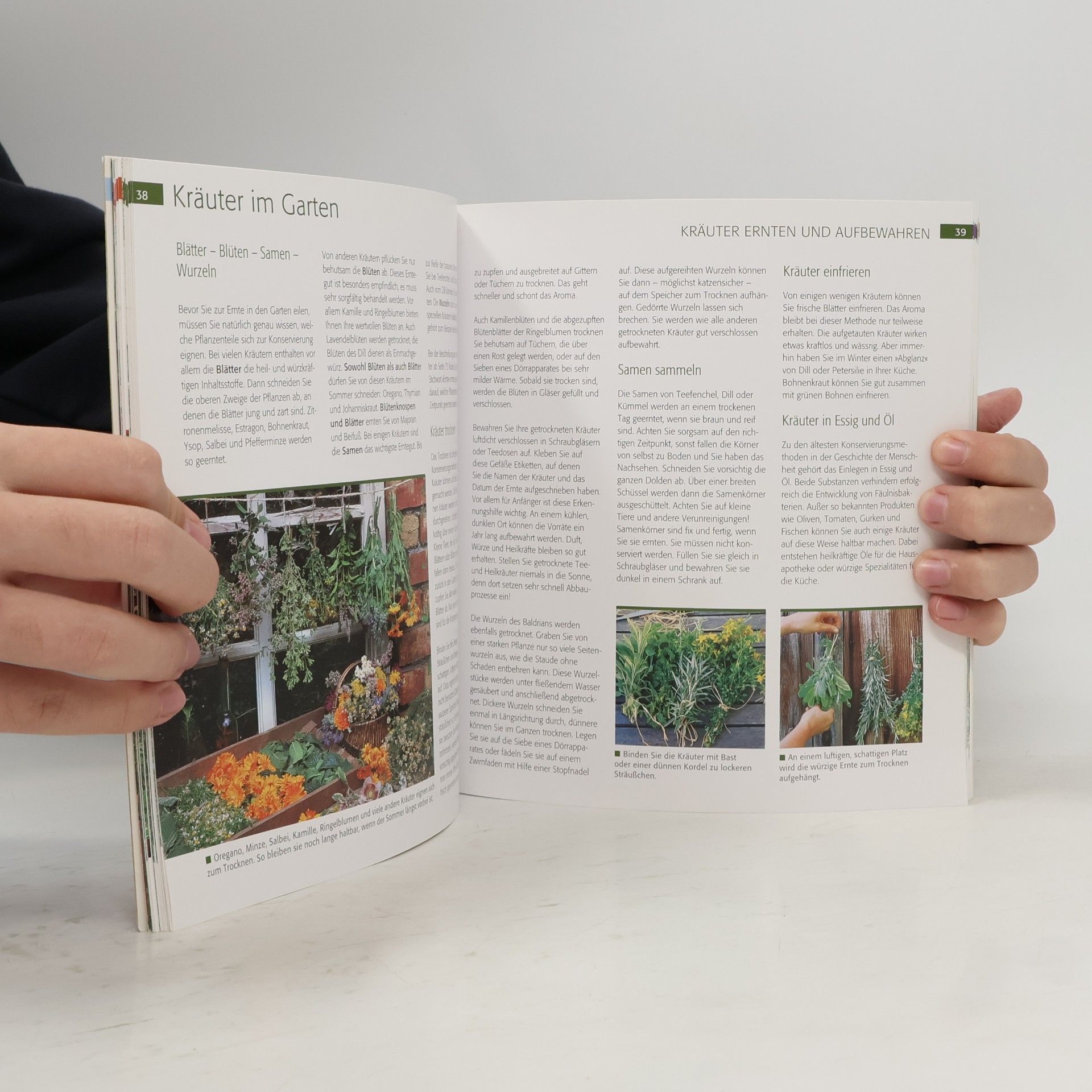 Marie-Luise Kreuter Der kleine Bio-Kräutergarten