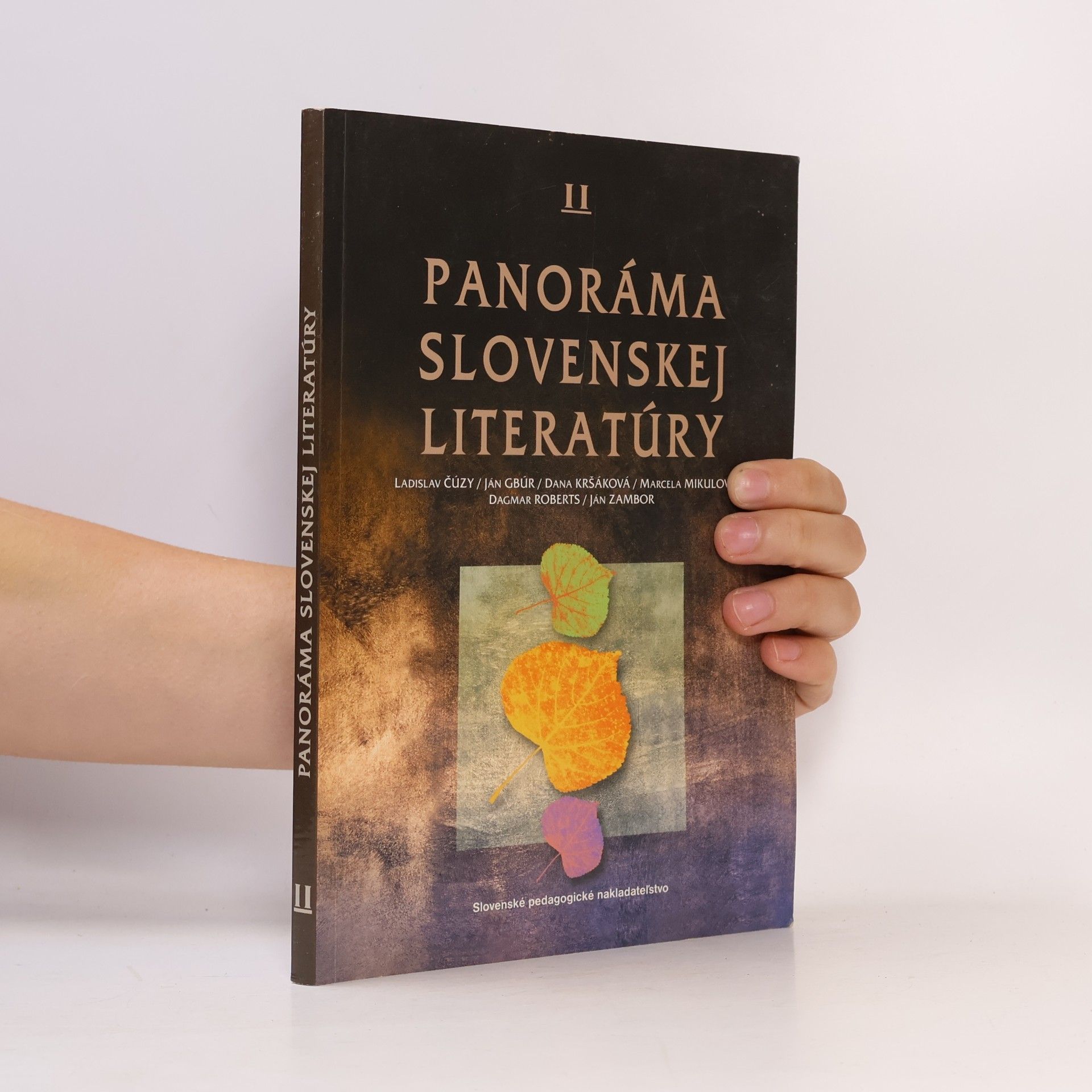 Collectif d'auteurs Panoráma slovenskej literatúry II