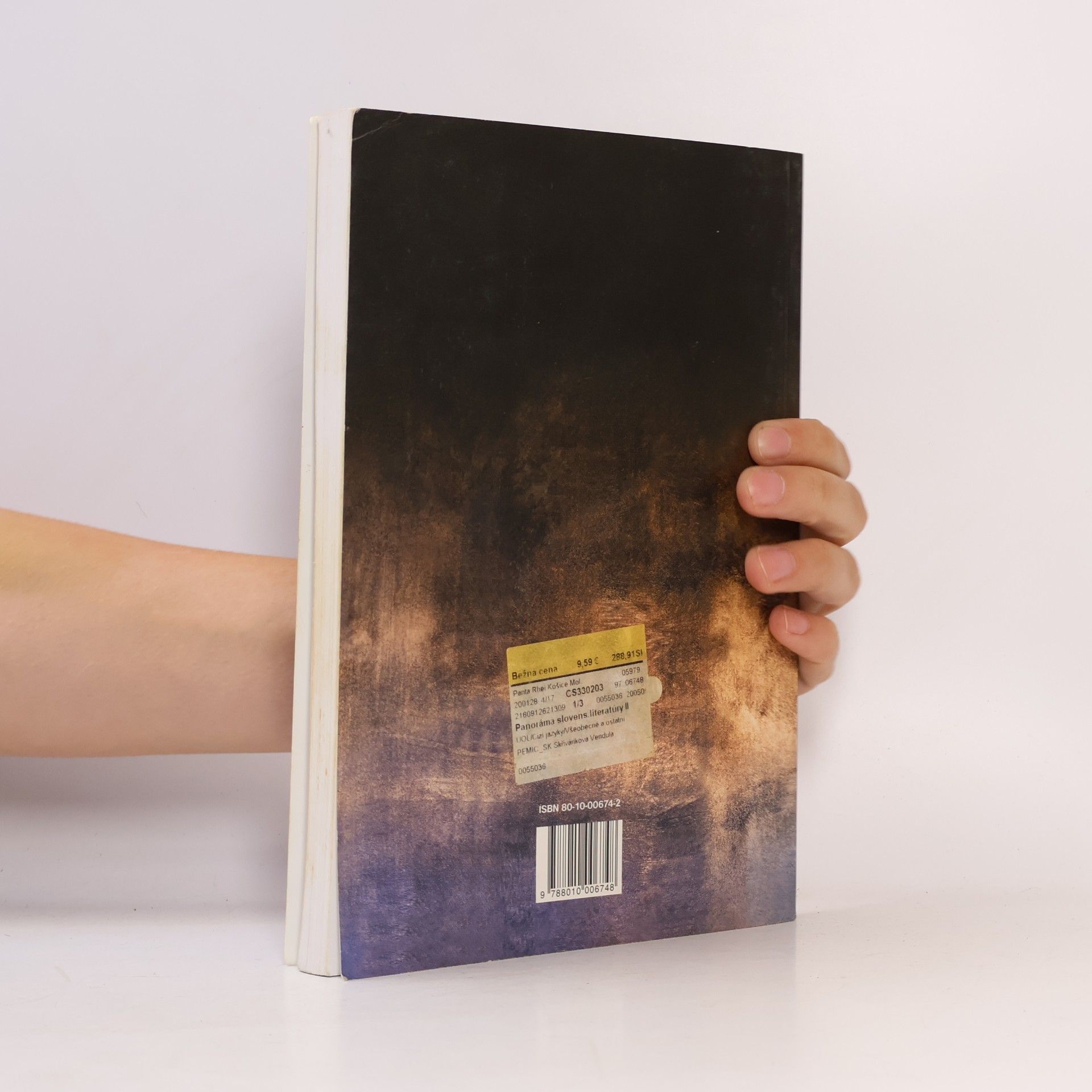 kolektiv Panoráma slovenskej literatúry II