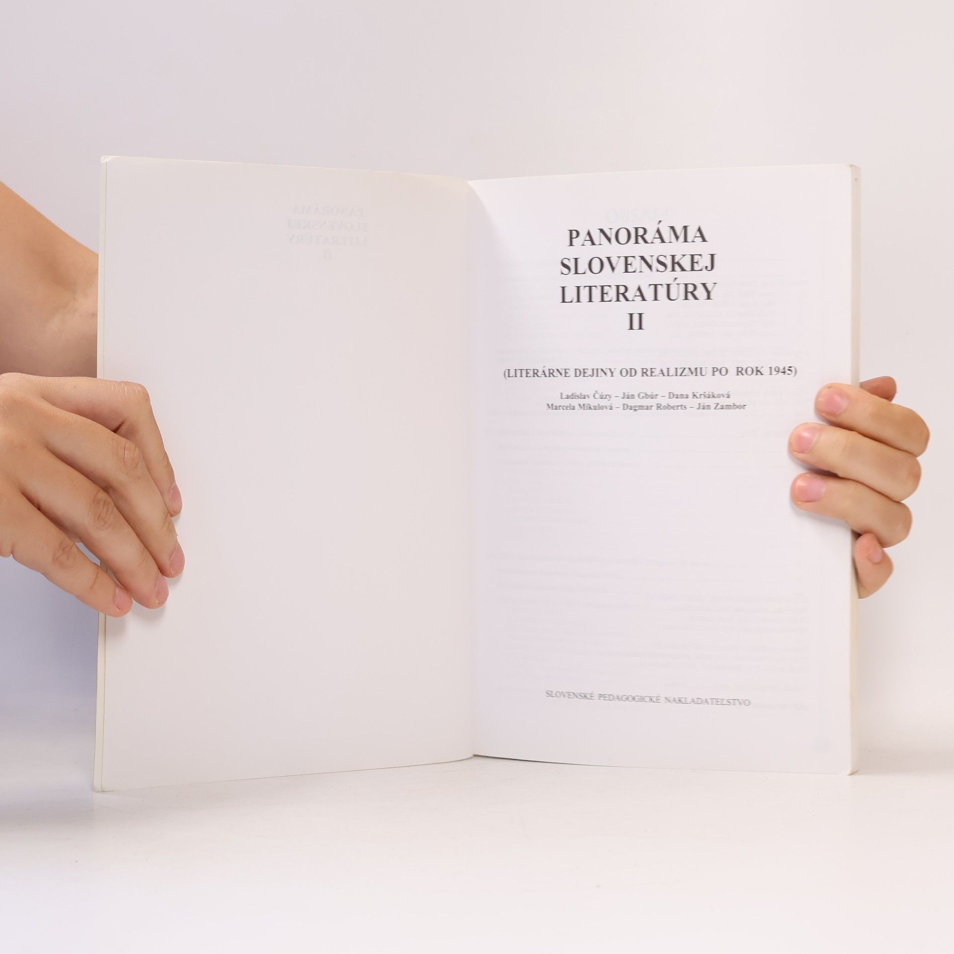 kolektiv Panoráma slovenskej literatúry II