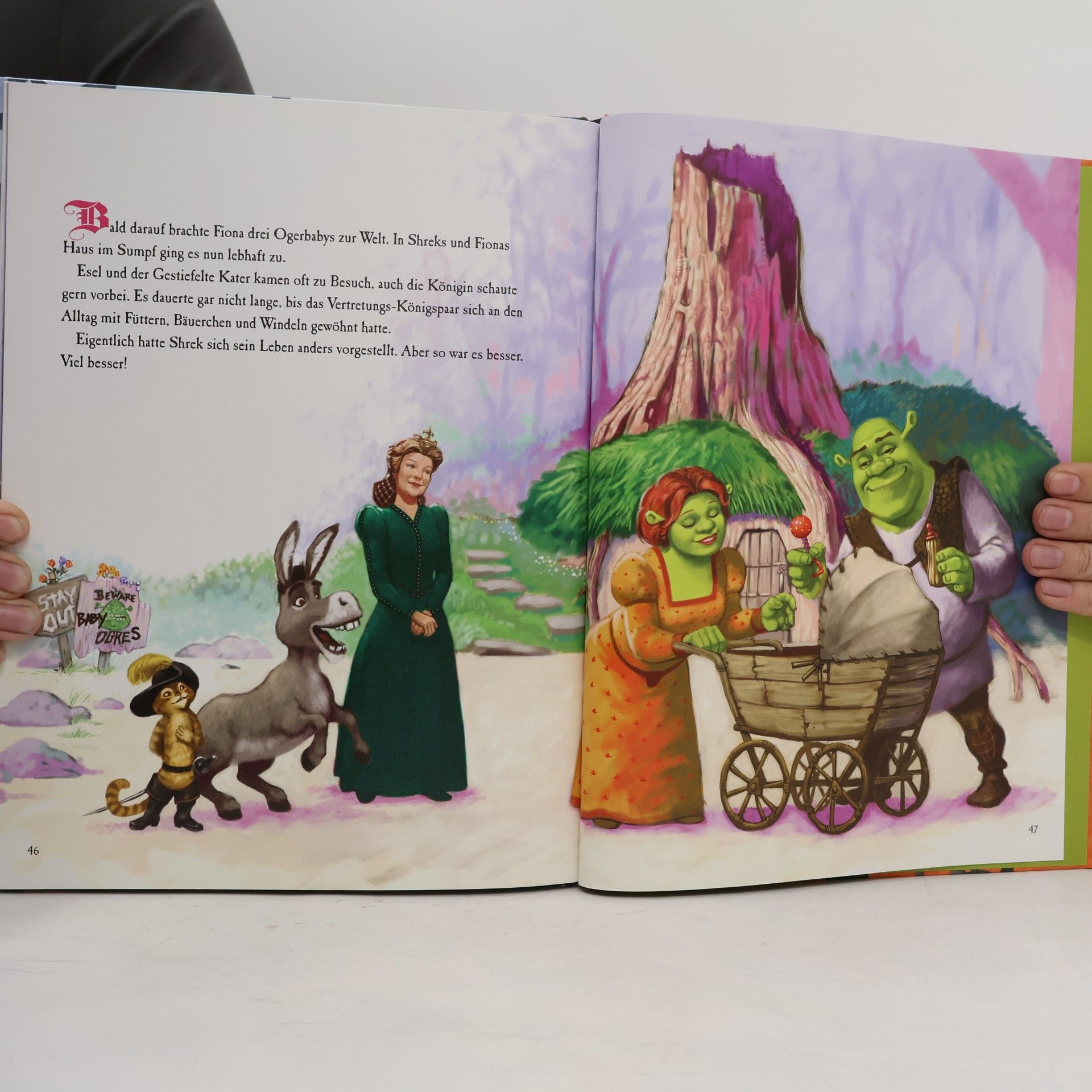 Autorenkollektiv Shrek der Dritte. Das Buch zum Film