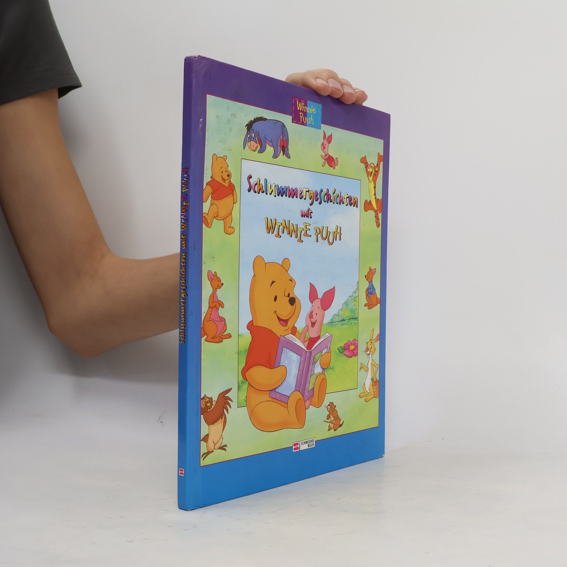 Michael Czernich Schlummergeschichten mit Winnie Puuh