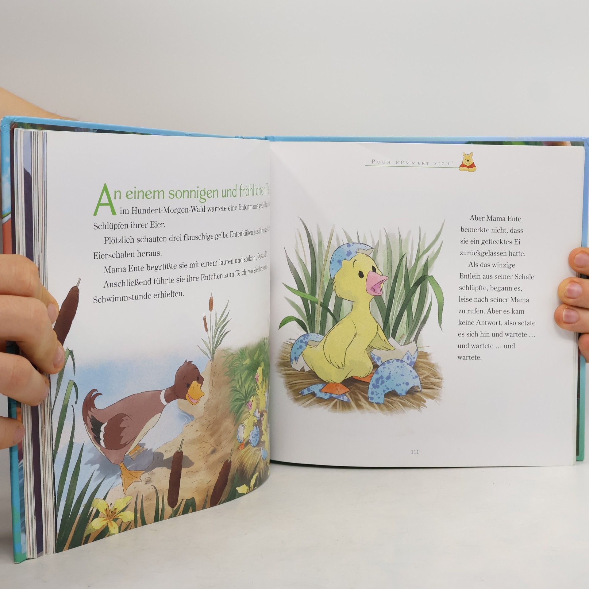 Kolektiv autorů Disney Klassiker: Meine schönsten Tiergeschichten