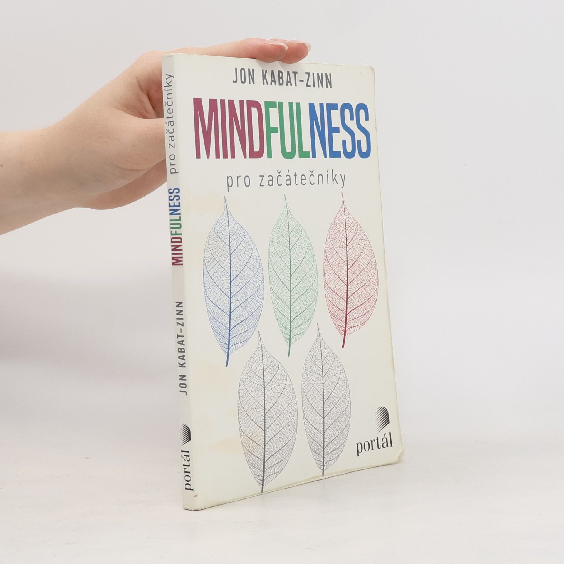 Mindfulness pro začátečníky