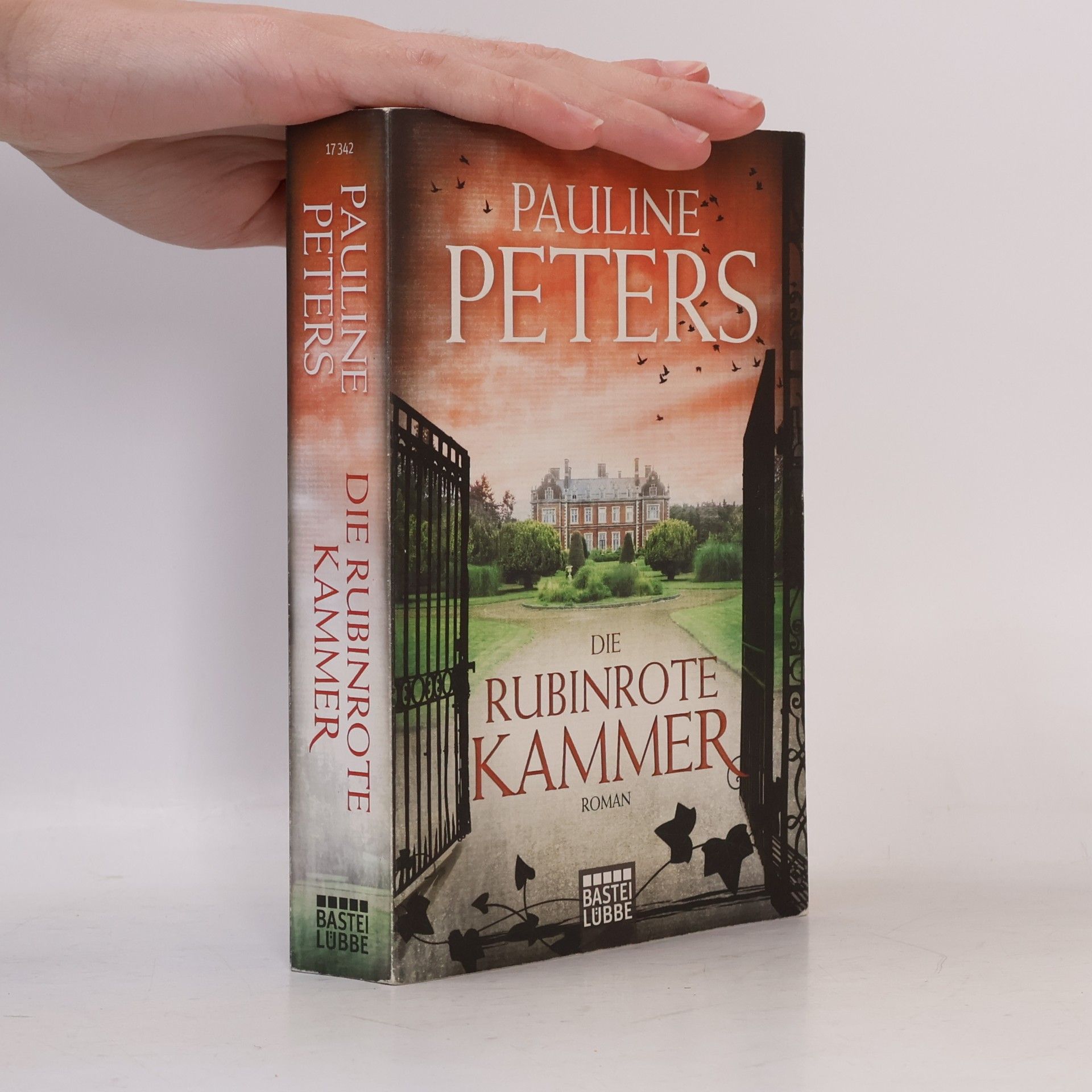 Pauline Peters Die rubinrote Kammer
