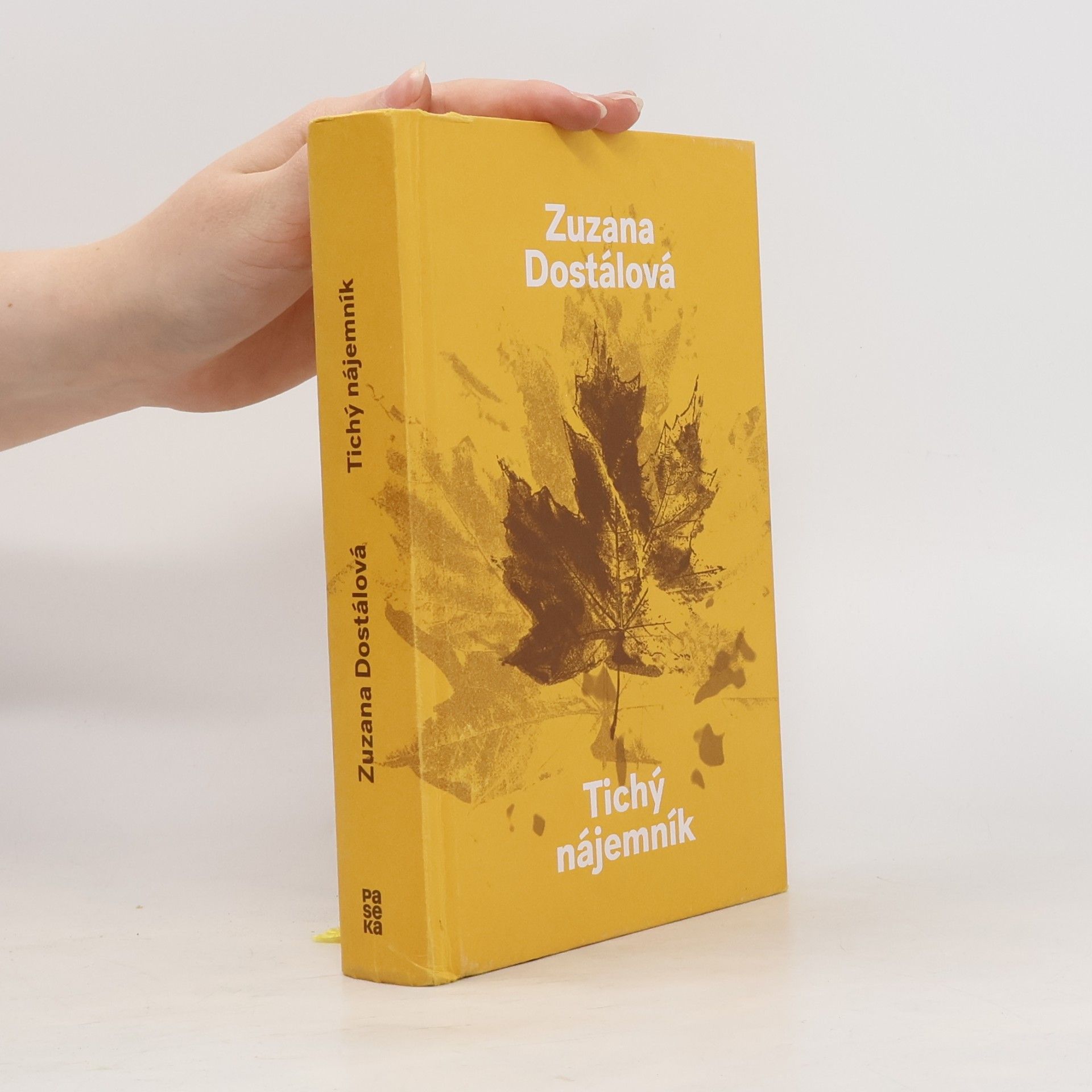 Zuzana Dostálová Tichý nájemník