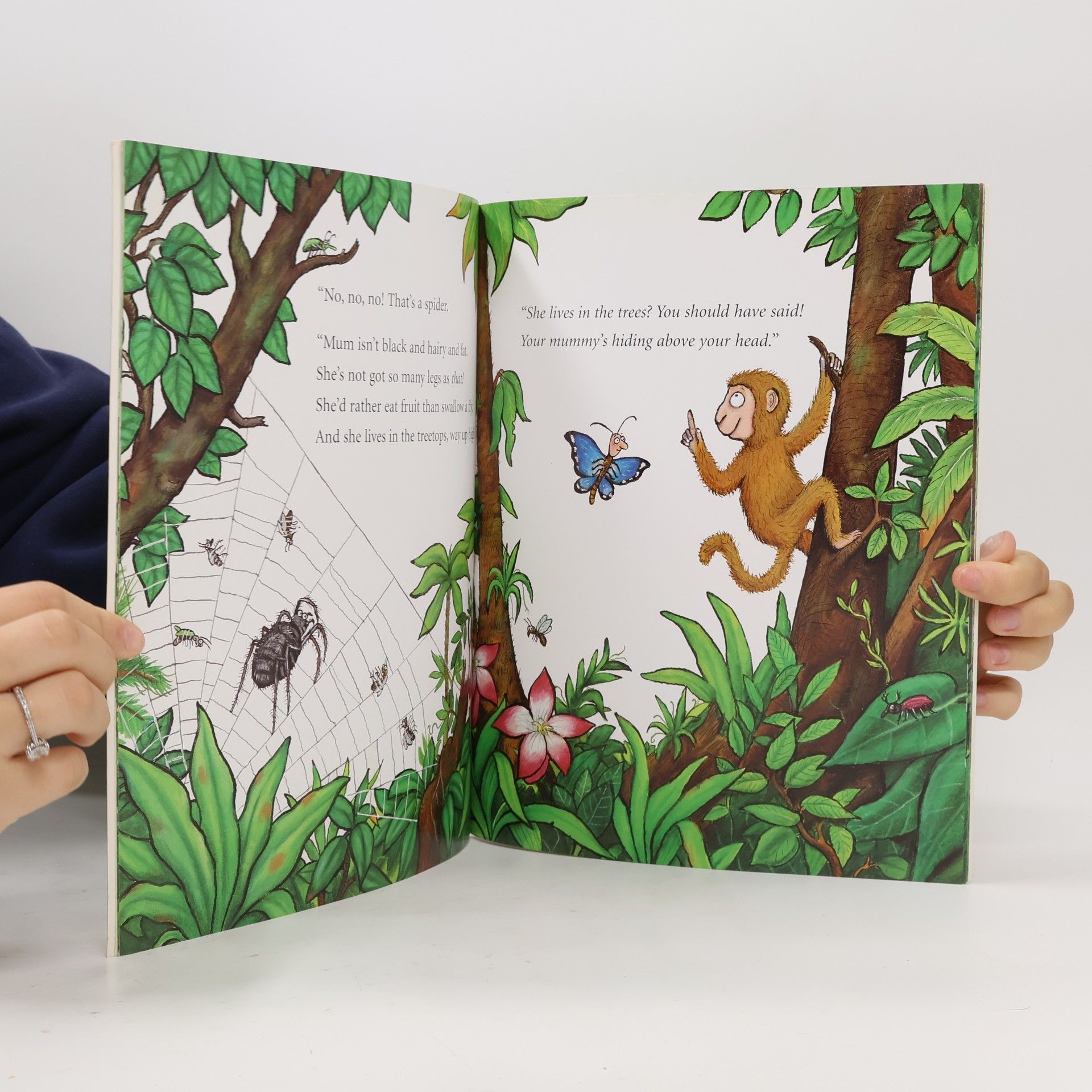 Julia Donaldson Monkey puzzle