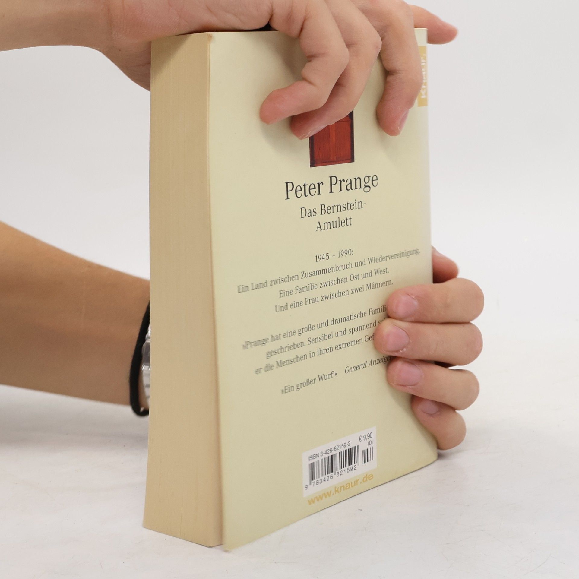 Peter Prange Das Bernstein-Amulett