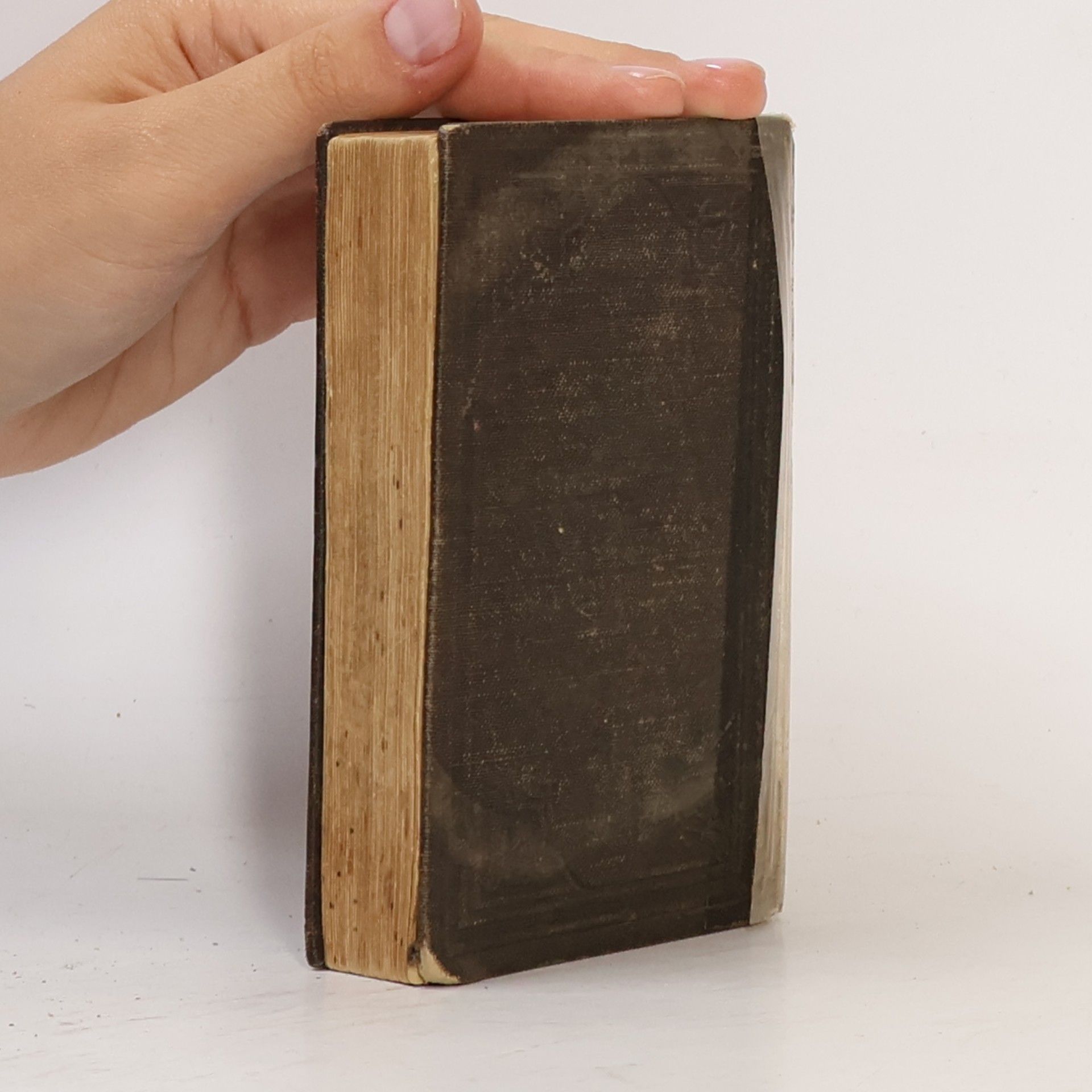Dr. Leander Van Eh Neues Testament