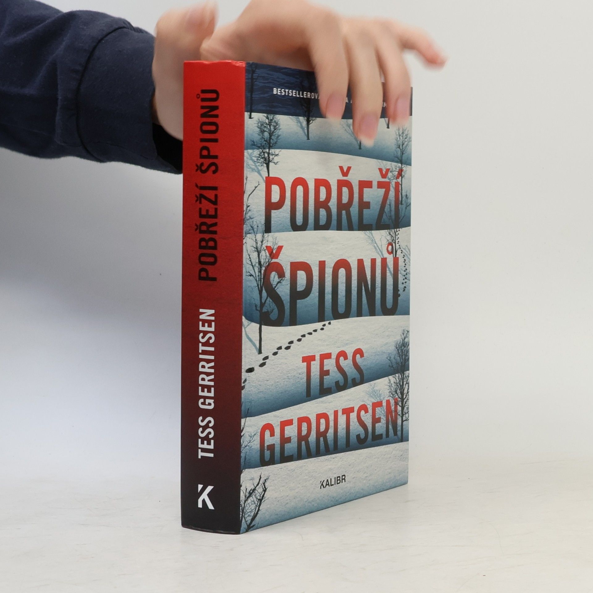 Tess Gerritsen Pobřeží špionů