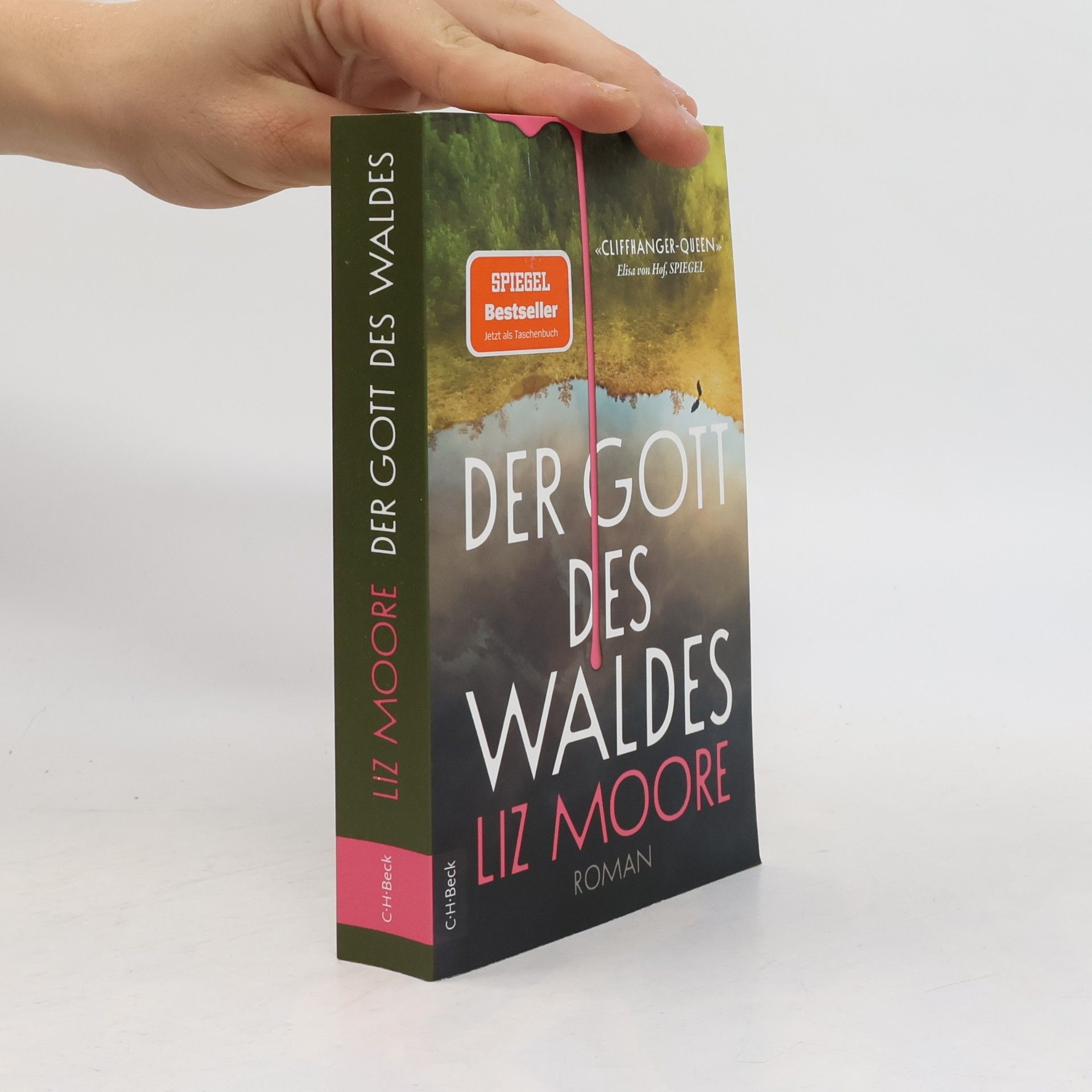 Der Gott des Waldes: Roman | New York Times-Bestseller
