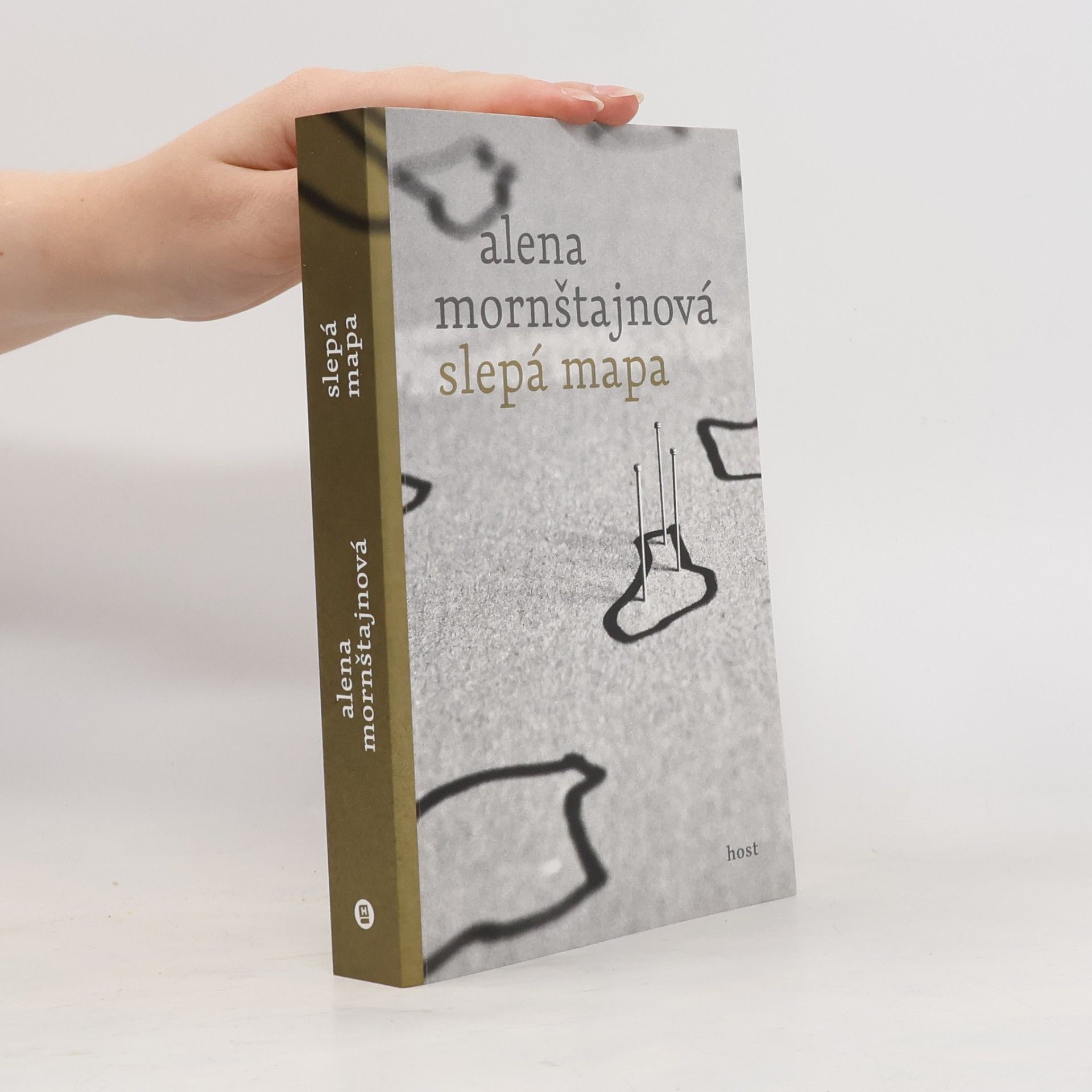 Alena Mornštajnová Slepá mapa