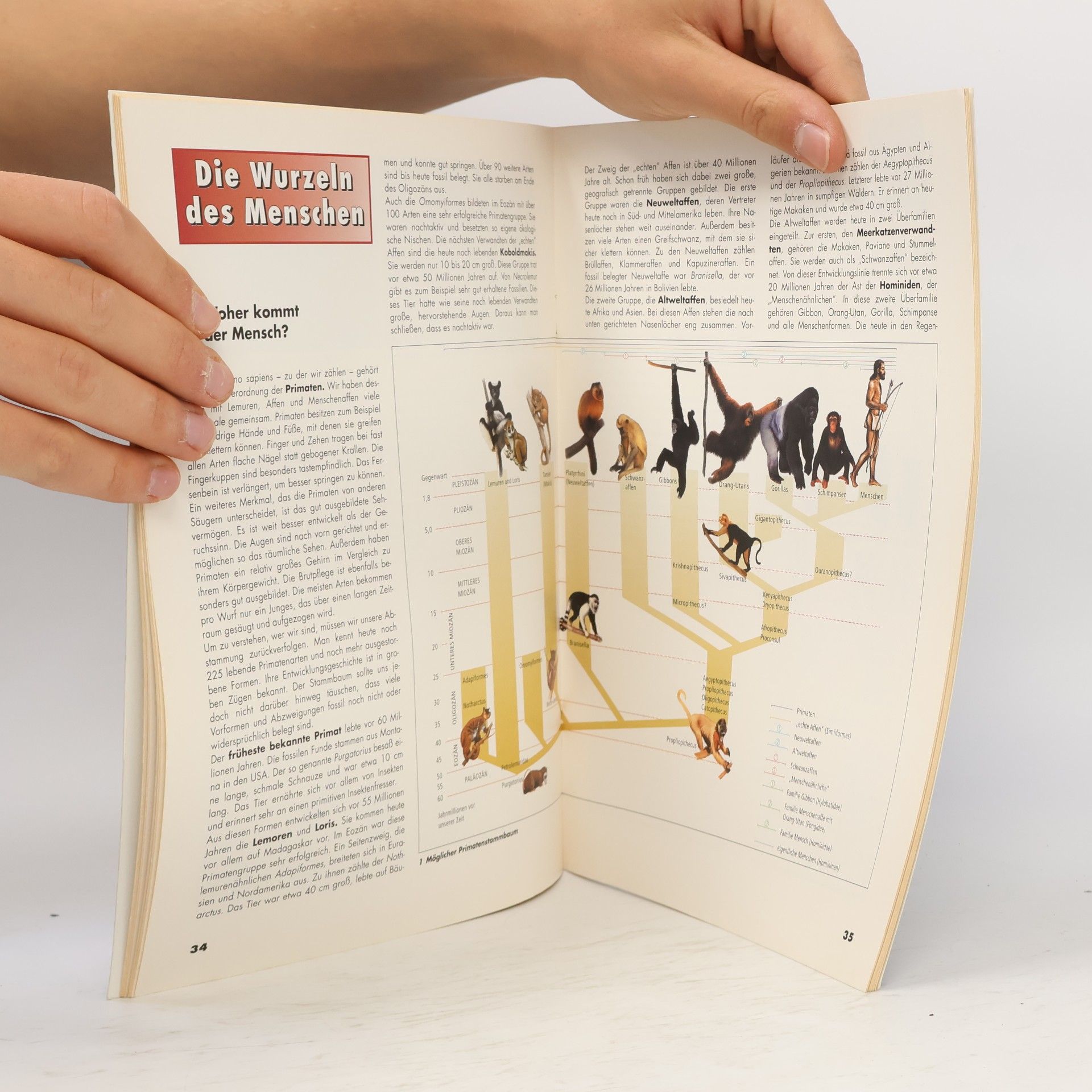 Wahlpflichtunterricht Biologie - Ausgabe 2000: Wahlpflichtunterricht Biologie: Evolution: Ausgabe 2000 / Evolution
