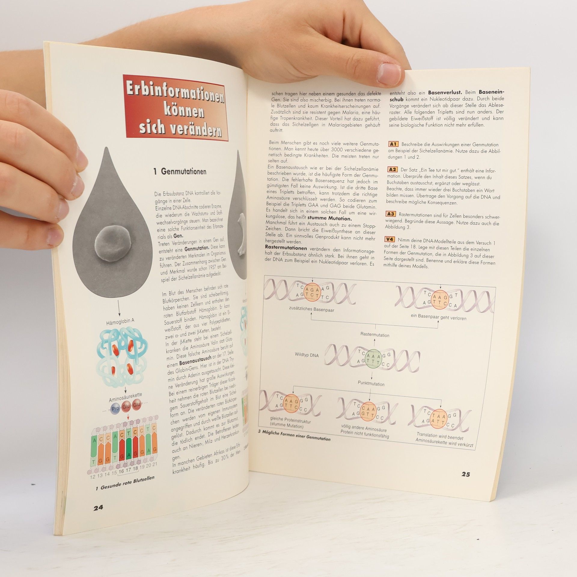 Wahlpflichtunterricht Biologie - Ausgabe 2000: Wahlpflichtunterricht Biologie: Genetik: Ausgabe 2000 / Genetik