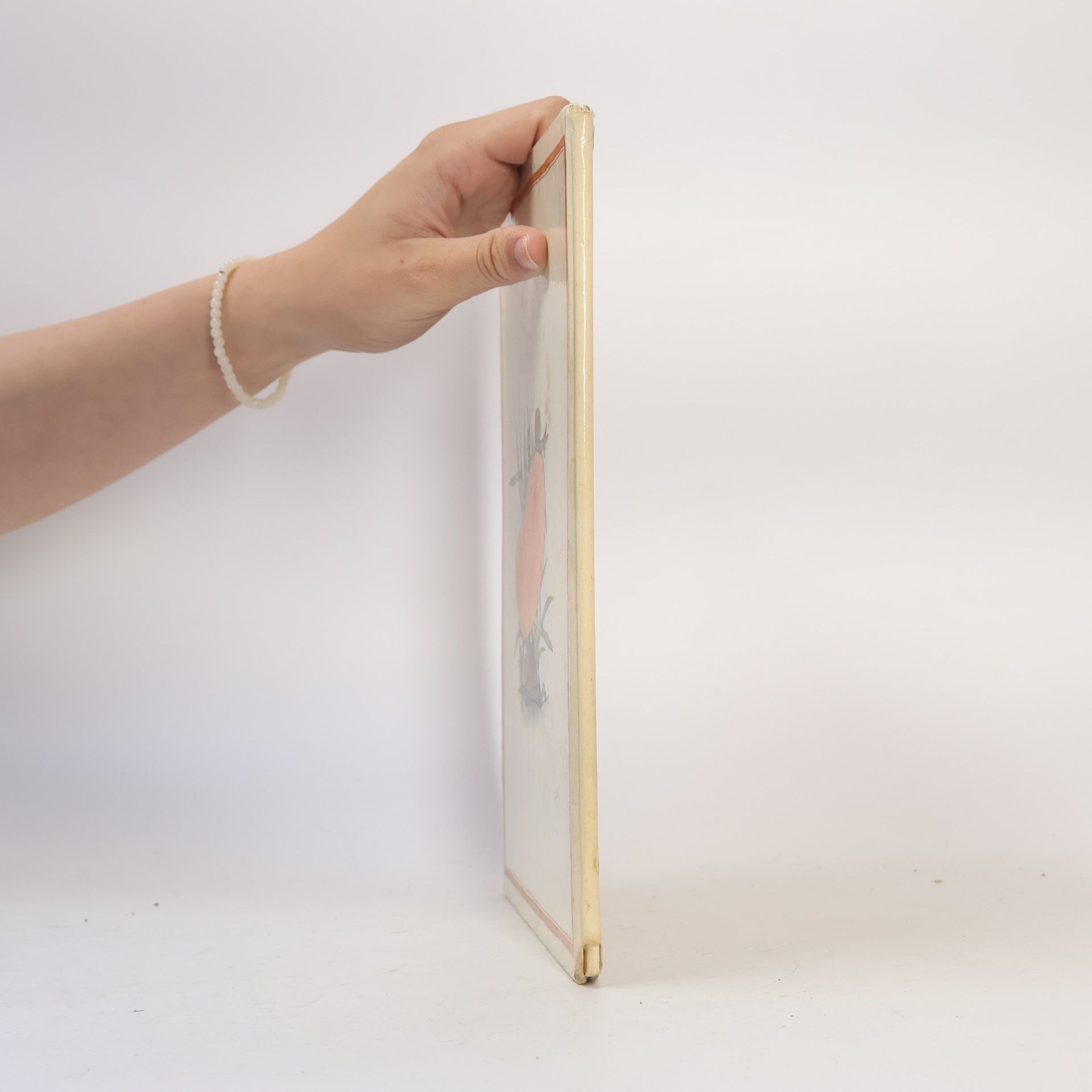 Wolf Spillner Der Luftballon und die Warzenkröte