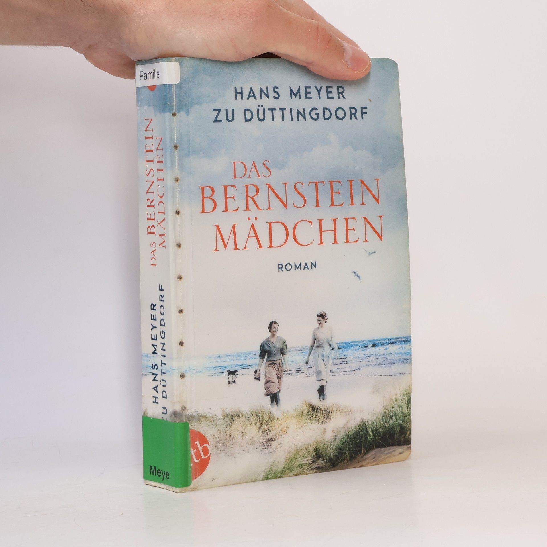Das Bernsteinmädchen