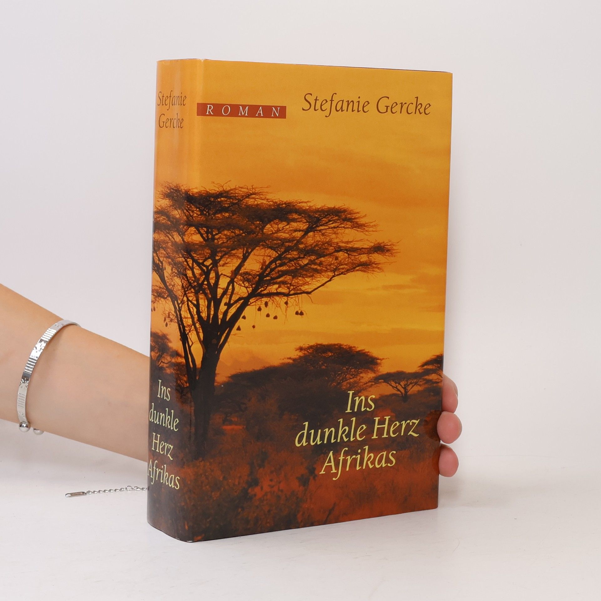 Stefanie Gercke Ins dunkle Herz Afrikas