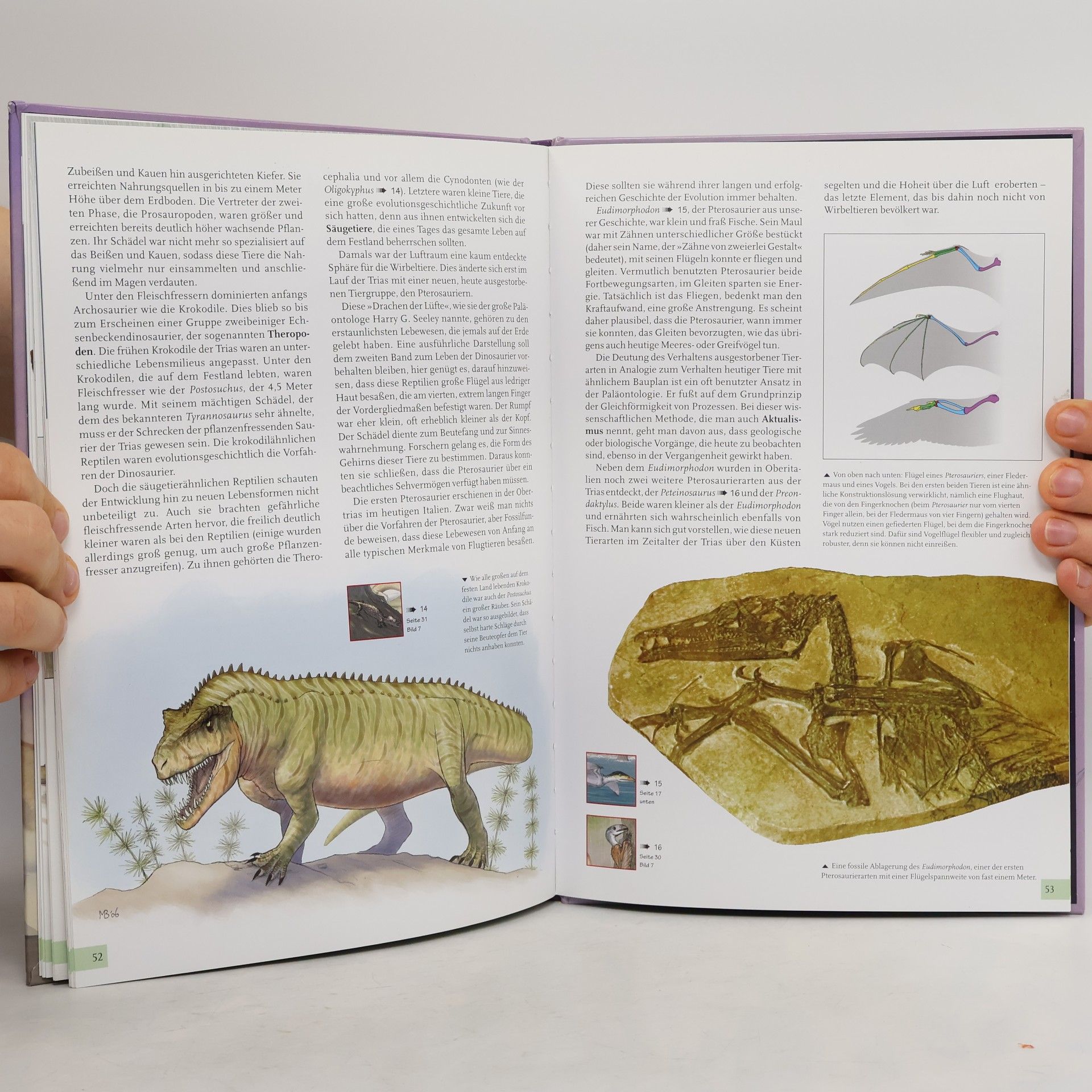 Matteo Bacchin Dinosaurier