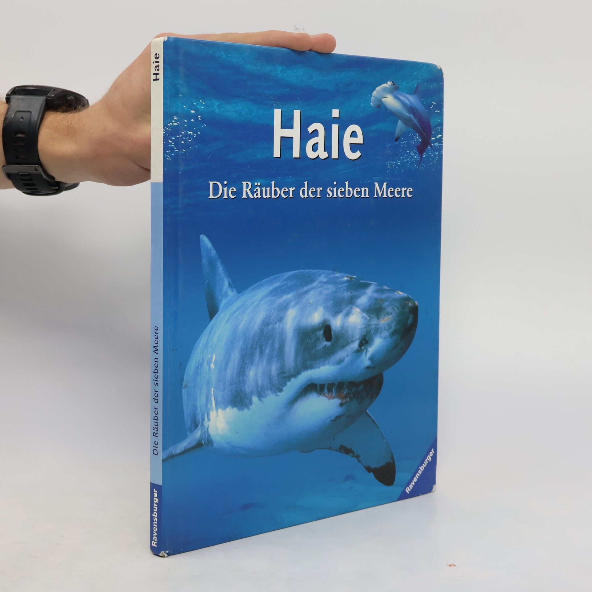 Haie
