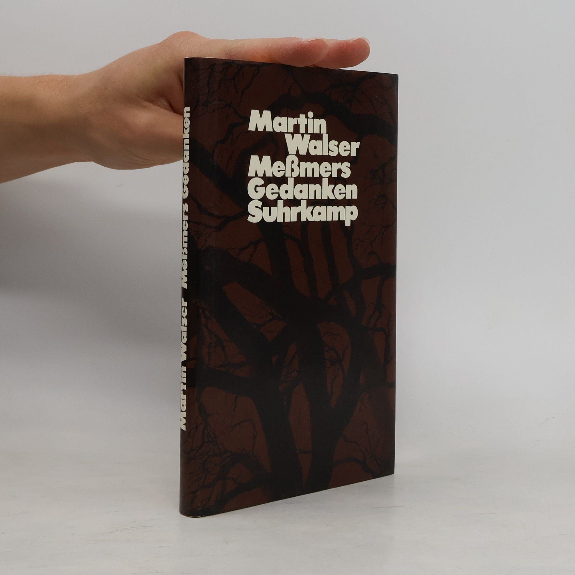 Martin Johannes Walser Messmers Gedanken