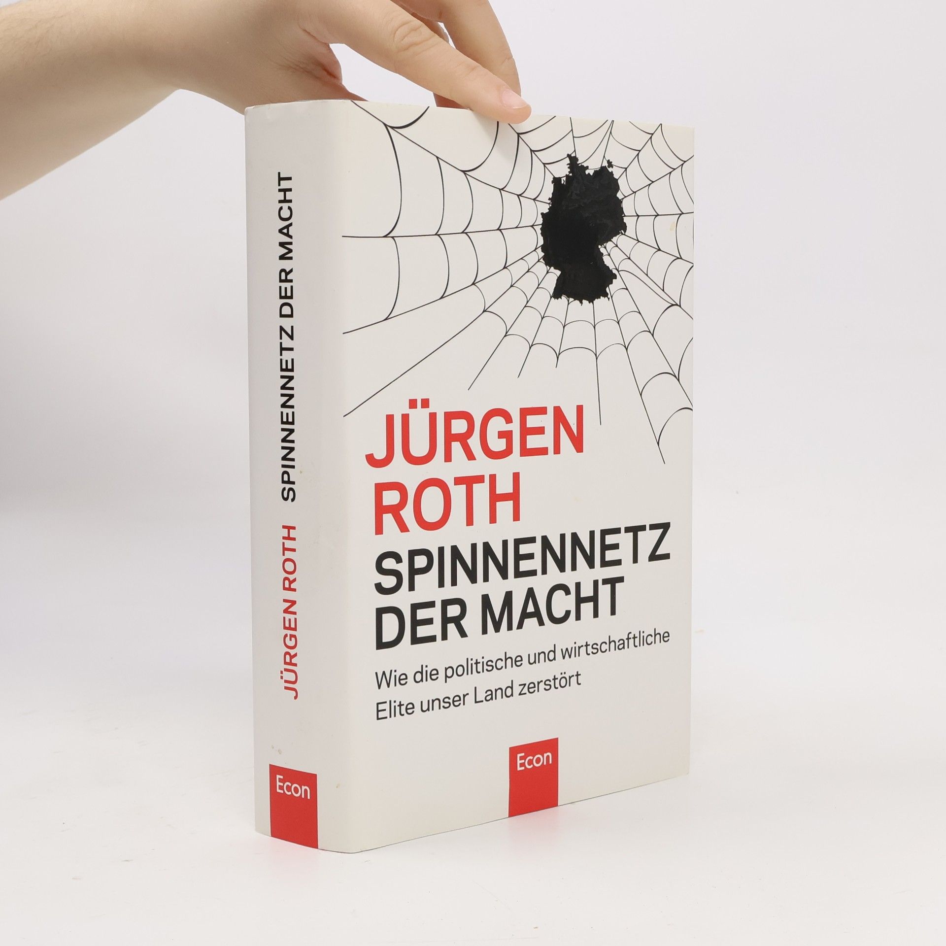 Jürgen Roeth Spinnennetz der Macht
