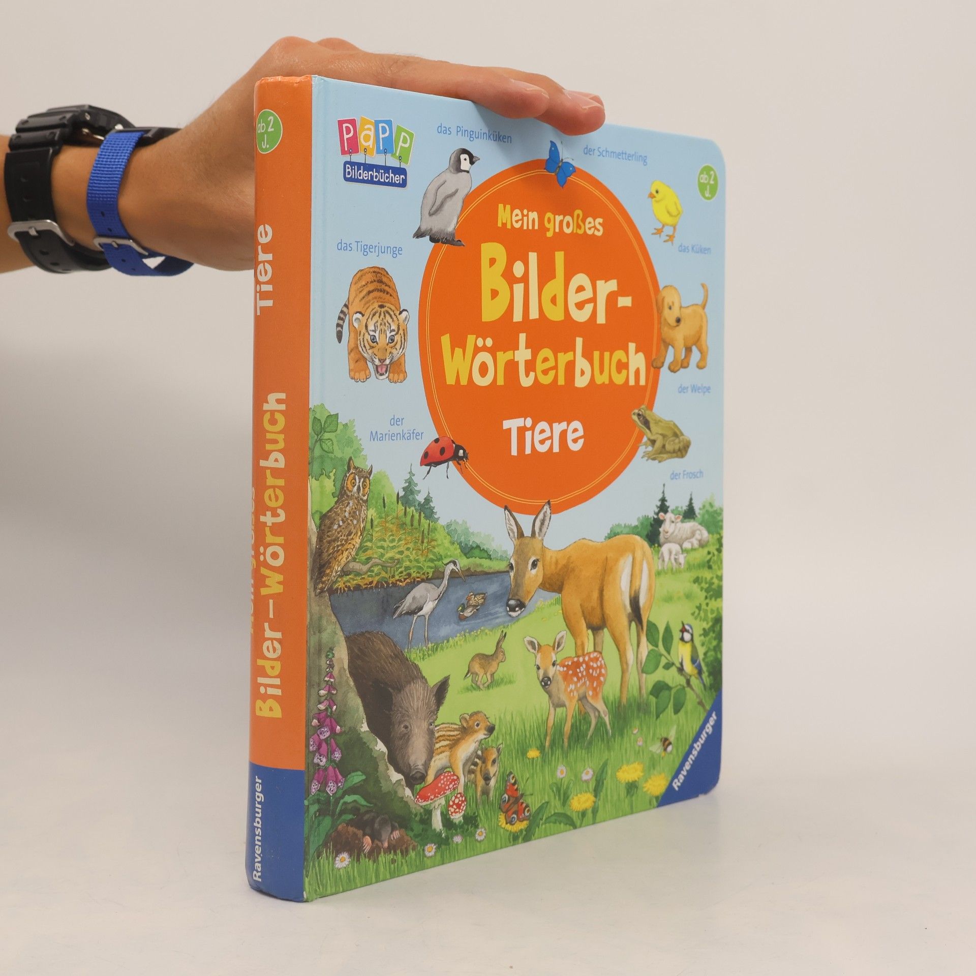 Mein großes Bilder-Wörterbuch Tiere