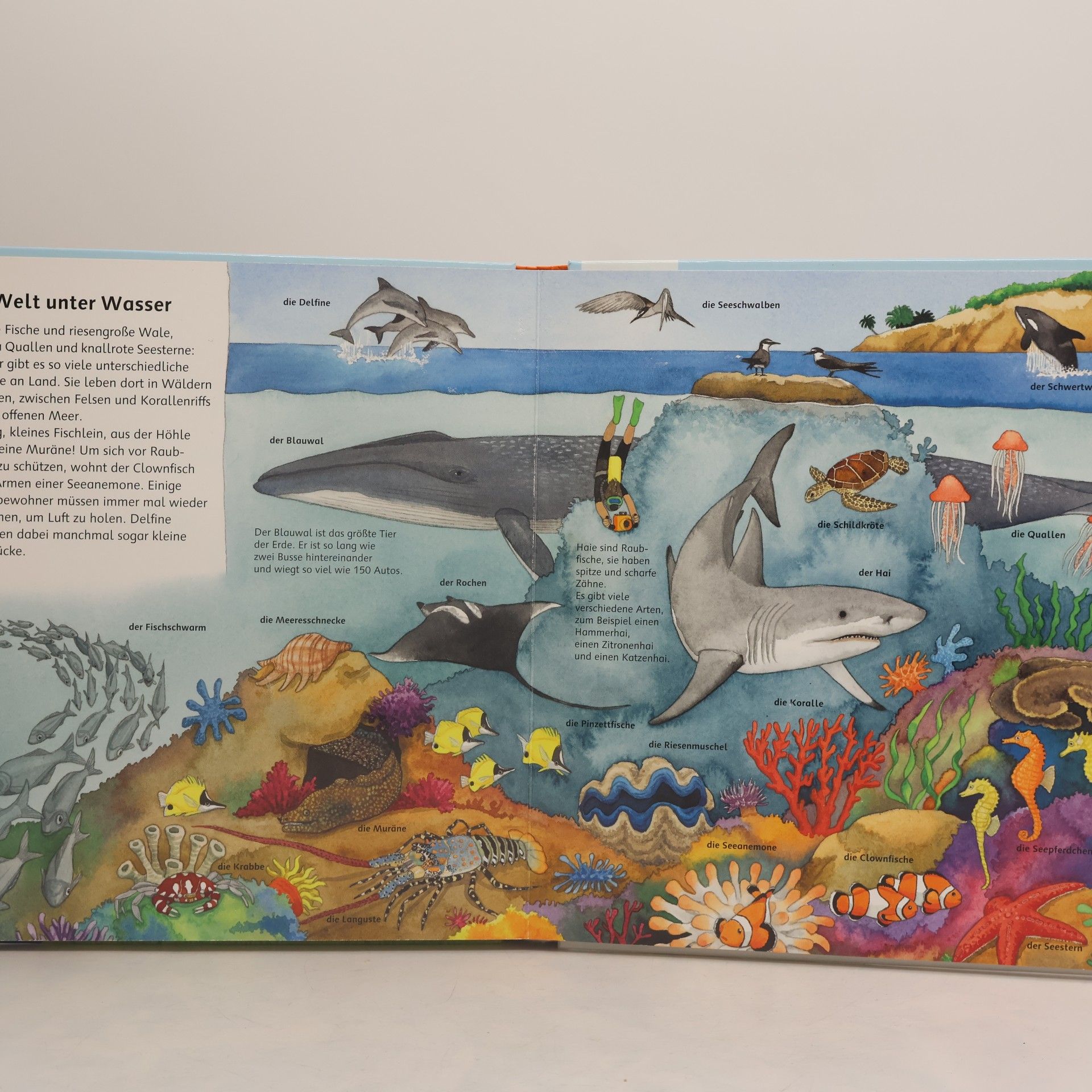 Susanne Gernhäuser Mein großes Bilder-Wörterbuch Tiere