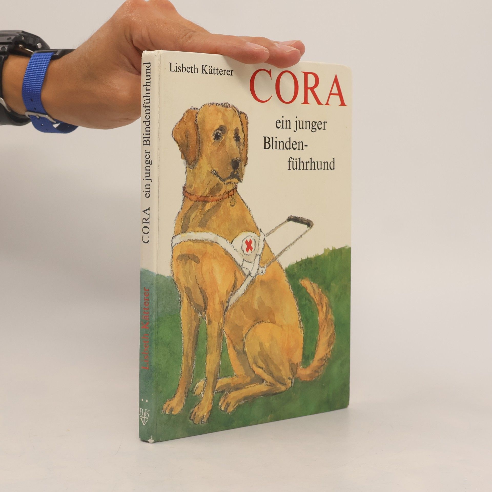 Cora, ein junger Blindenführhund