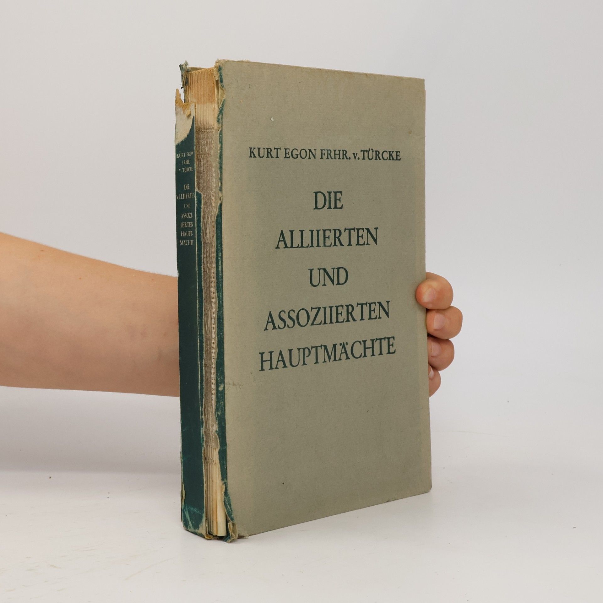 Kurt Egon Freiherr von Türcke Die alliierten und assoziierten Hauptmächte