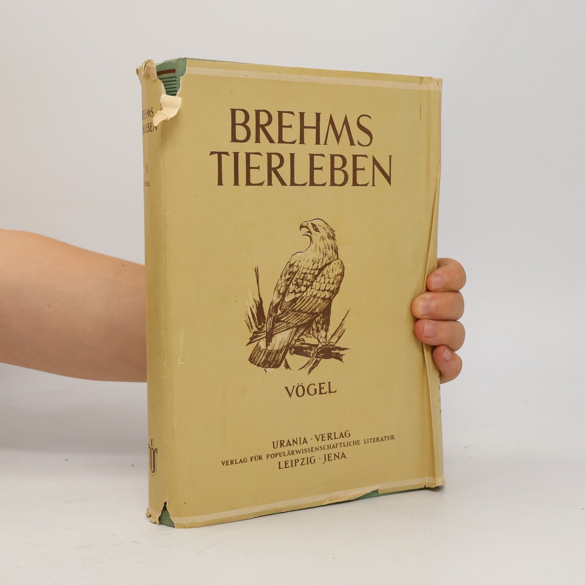 Alfred Edmund Brehm Brehms Tierleben III. Vögel