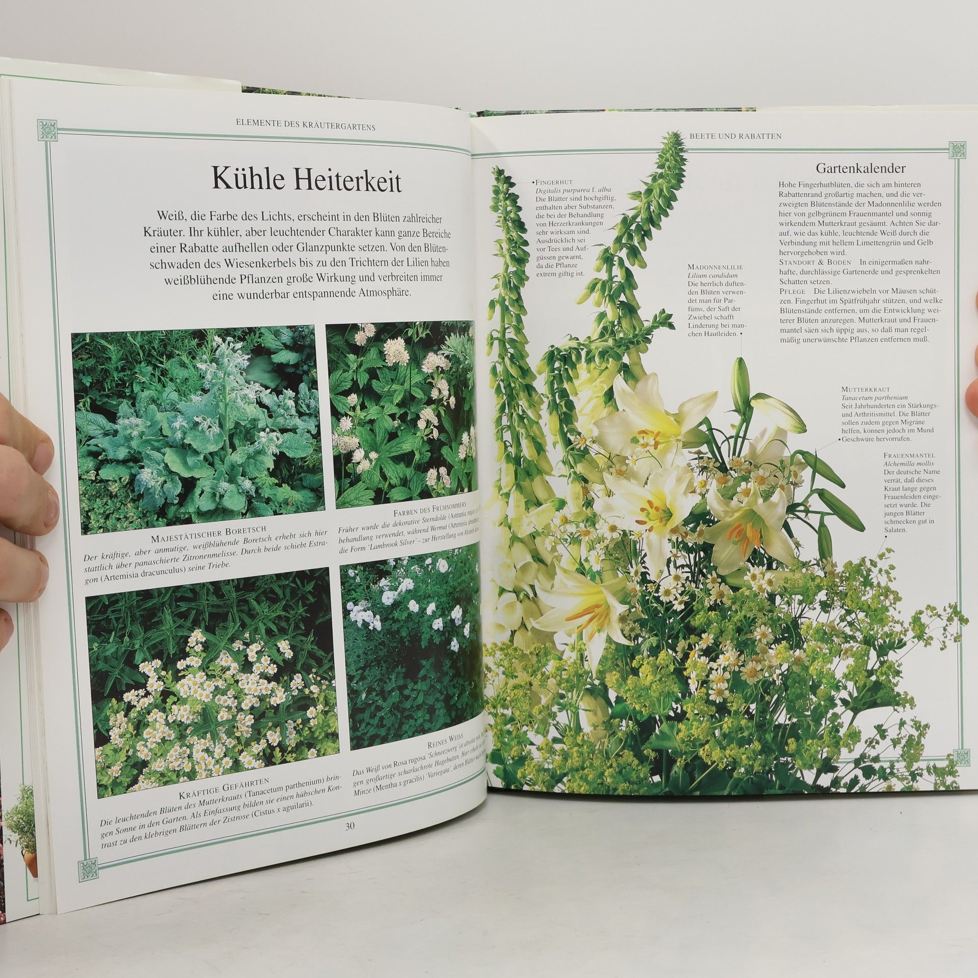 Malcolm Hillier Kräutergarten