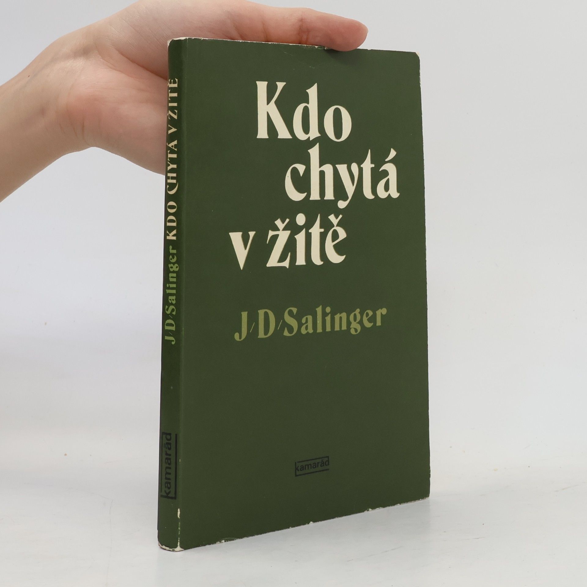 J. D. Salinger Kdo chytá v žitě