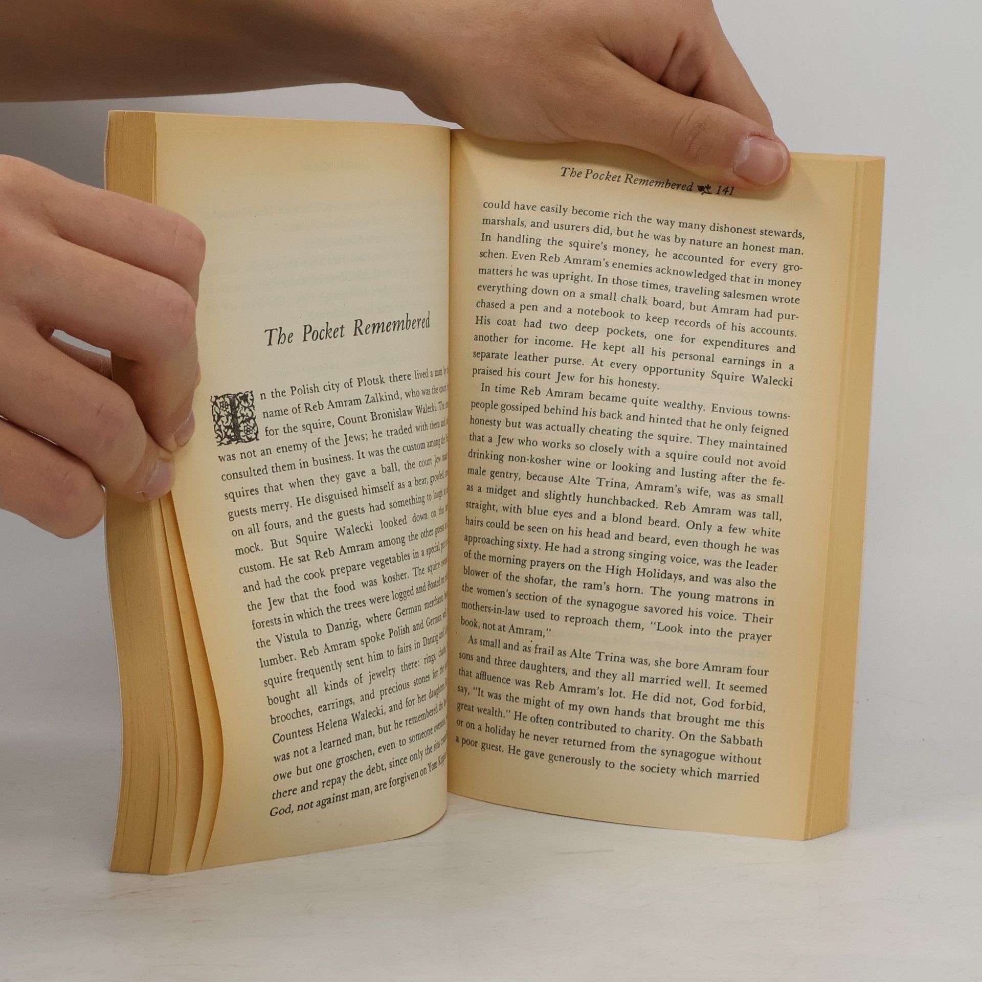 Isaac Bashevis Singer The Image and Other Stories