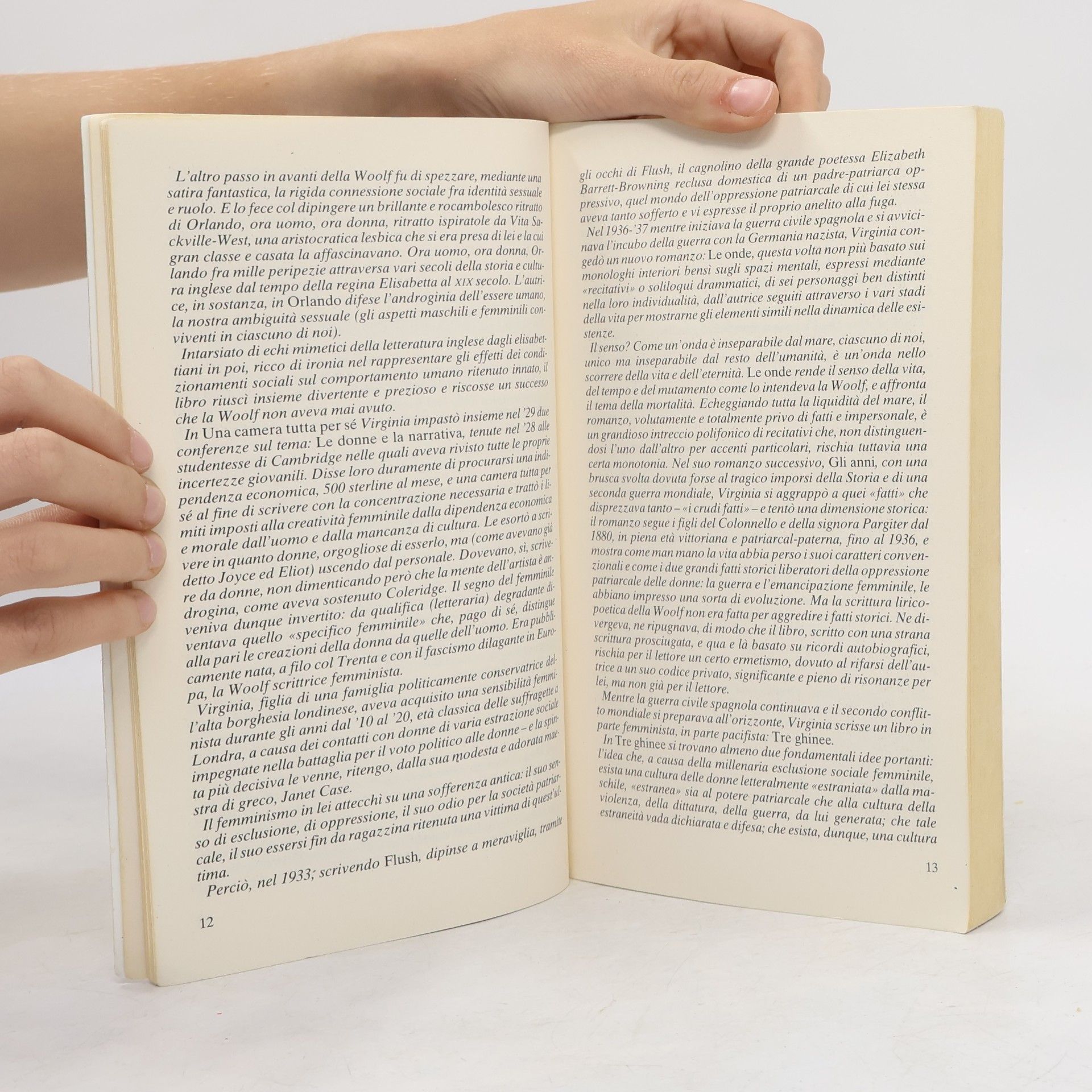 Virginia Woolf Biblioteca Economica Newton: Mrs. Dalloway