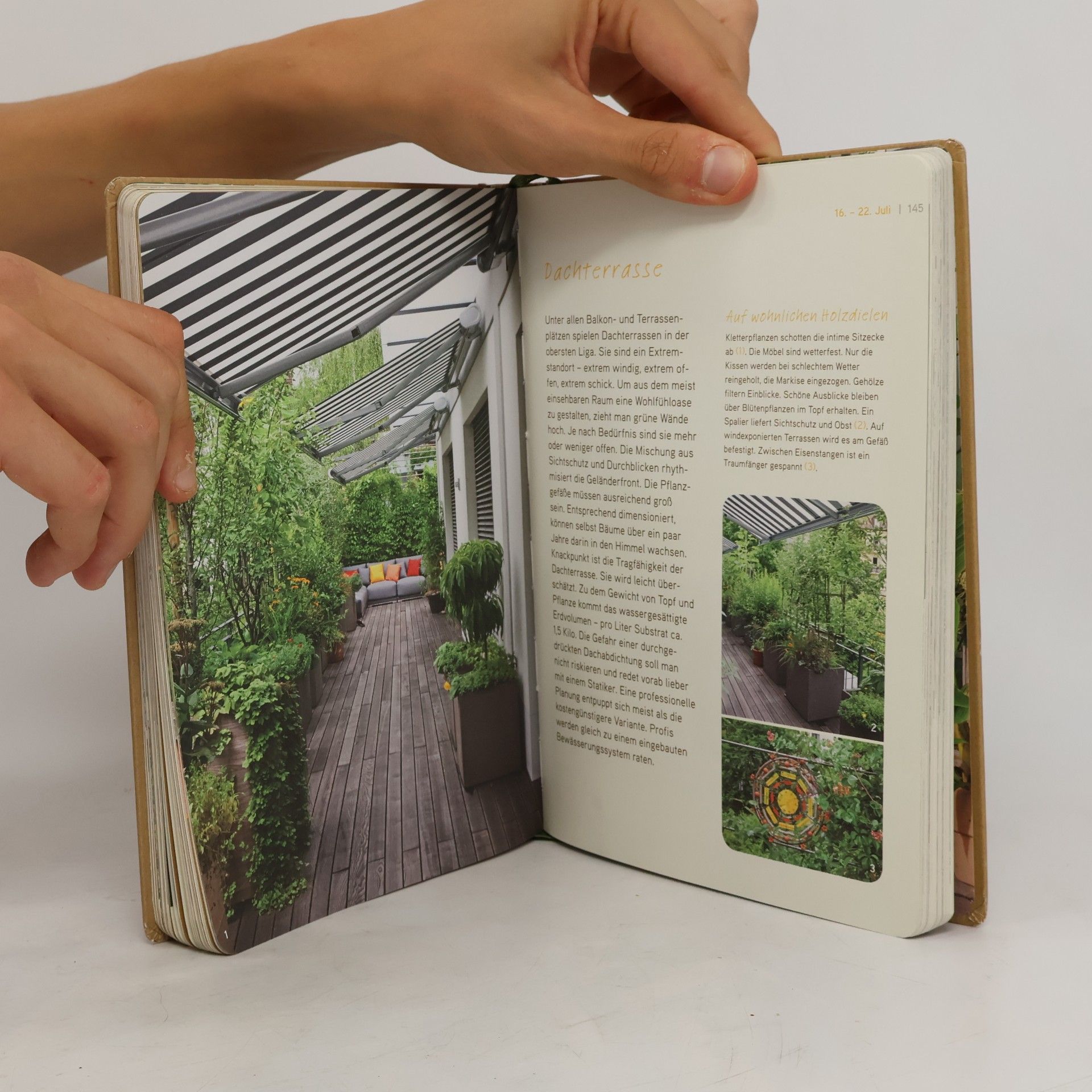 Kathrin Hofmeister Mein Stadtgarten-Diary